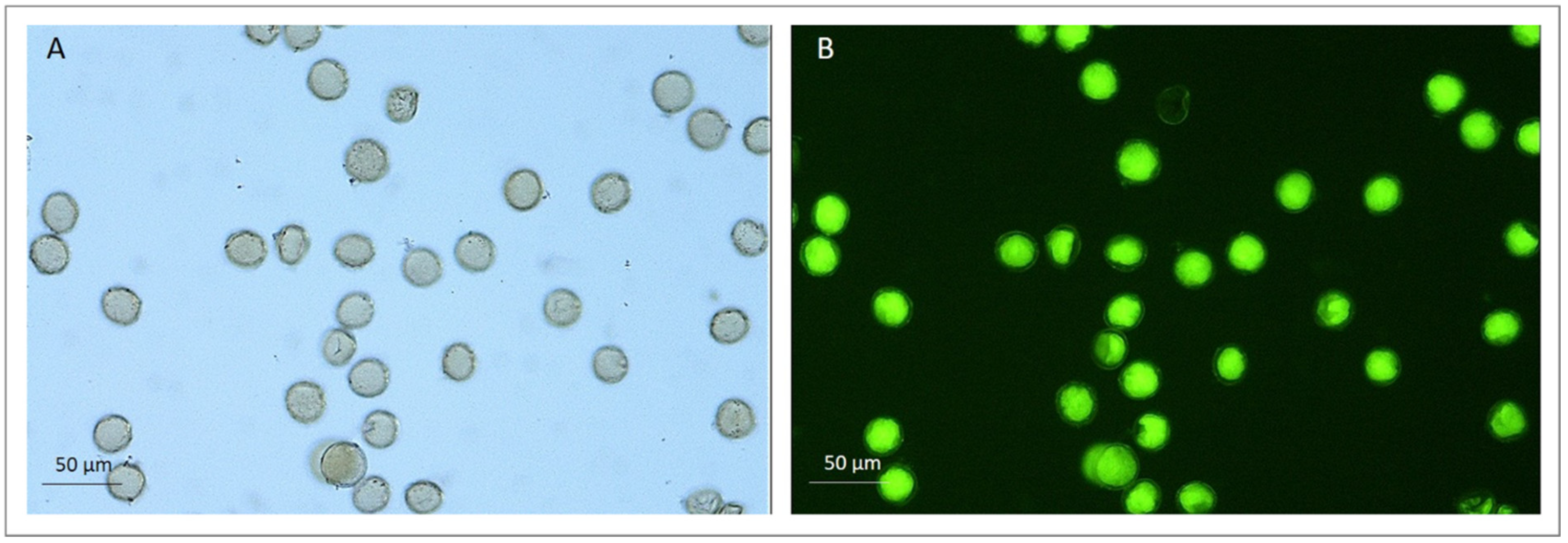 Sustainability 13 02287 g006 Sustainability 13 02287 g006