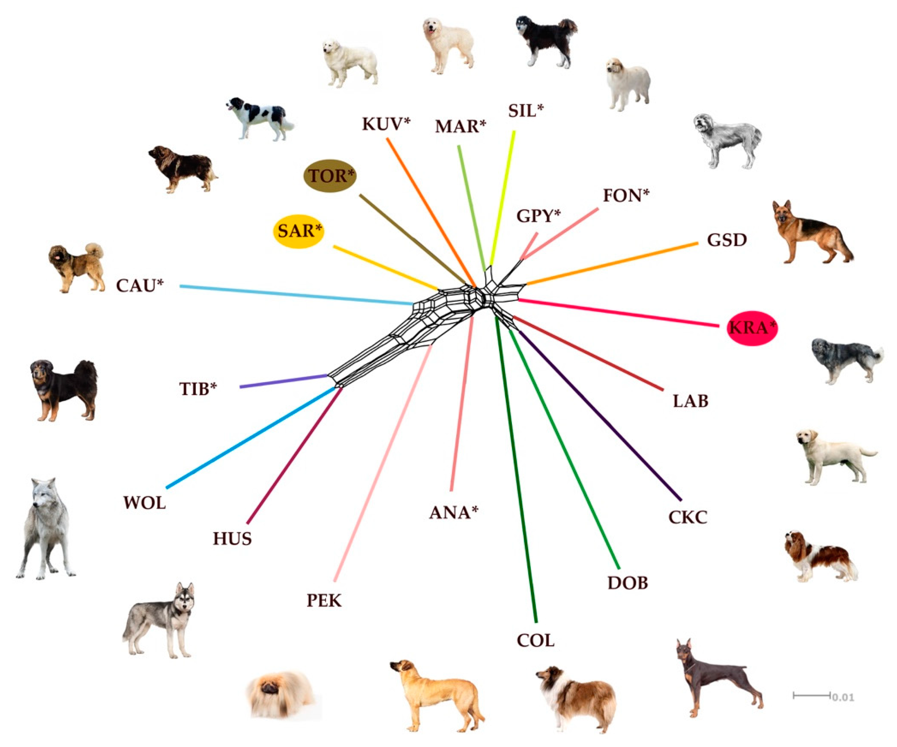 Sustainability 13 02289 g005 Sustainability 13 02289 g005