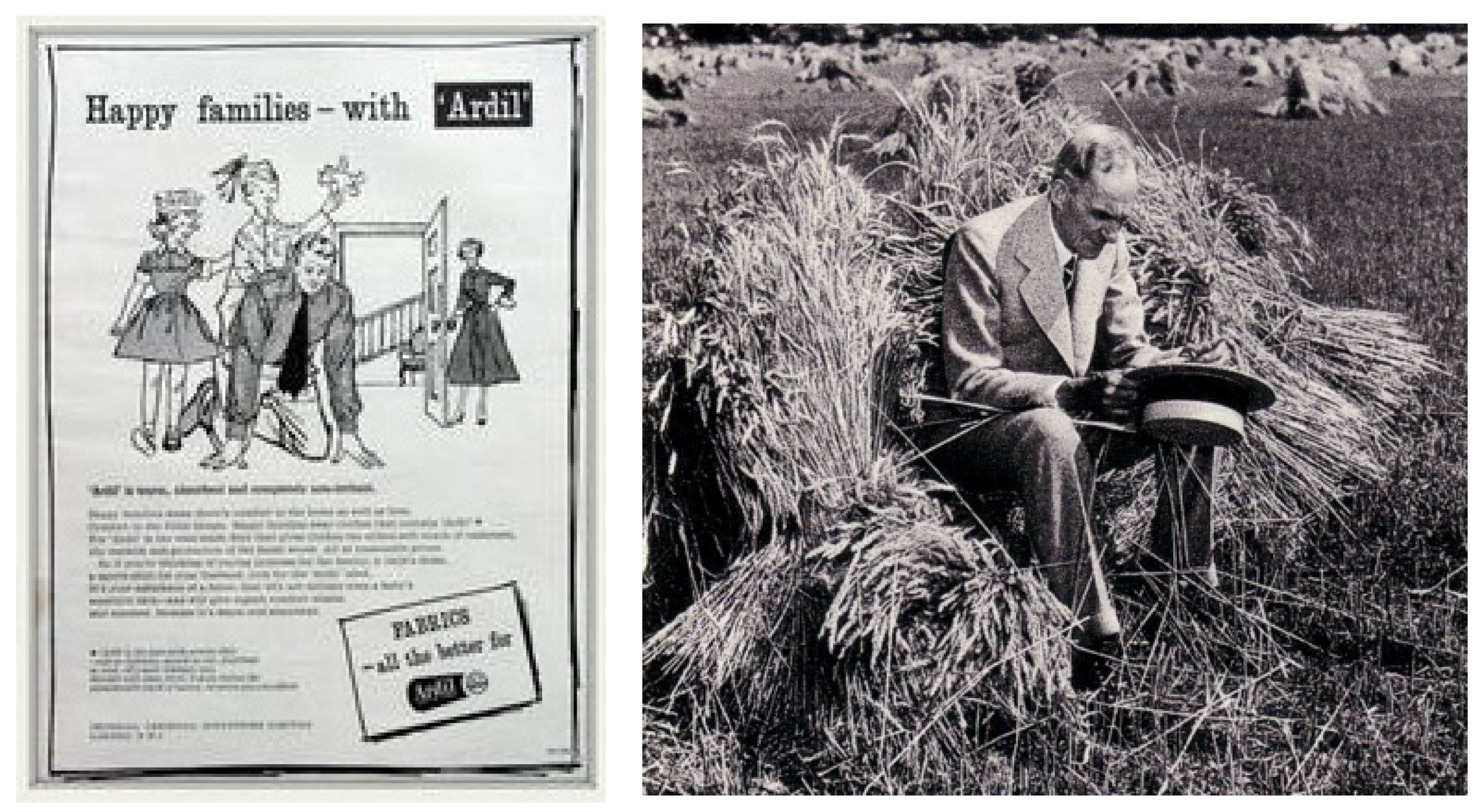 Sustainability 13 02328 g003 Sustainability 13 02328 g003