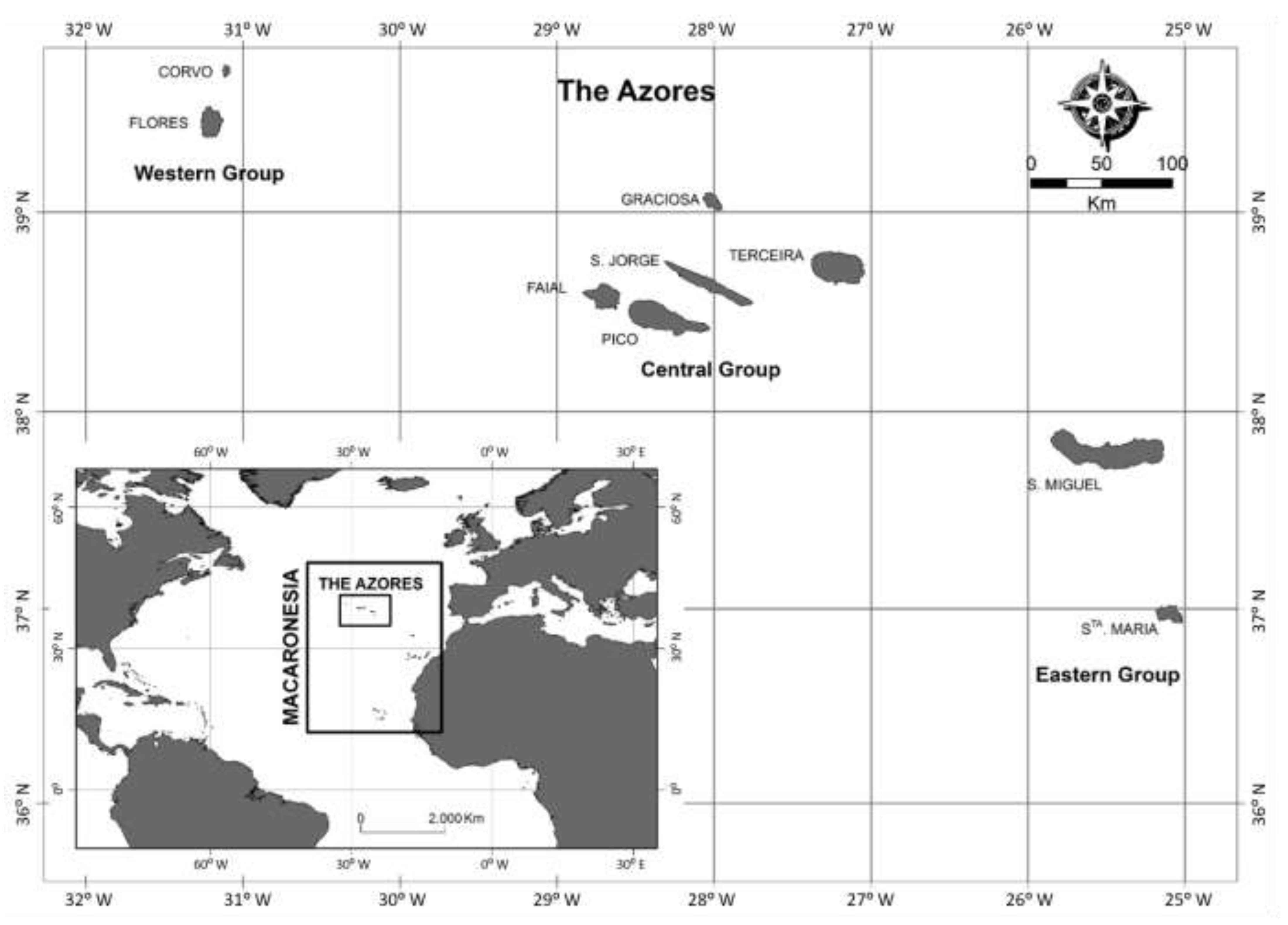 Sustainability 13 02352 g001