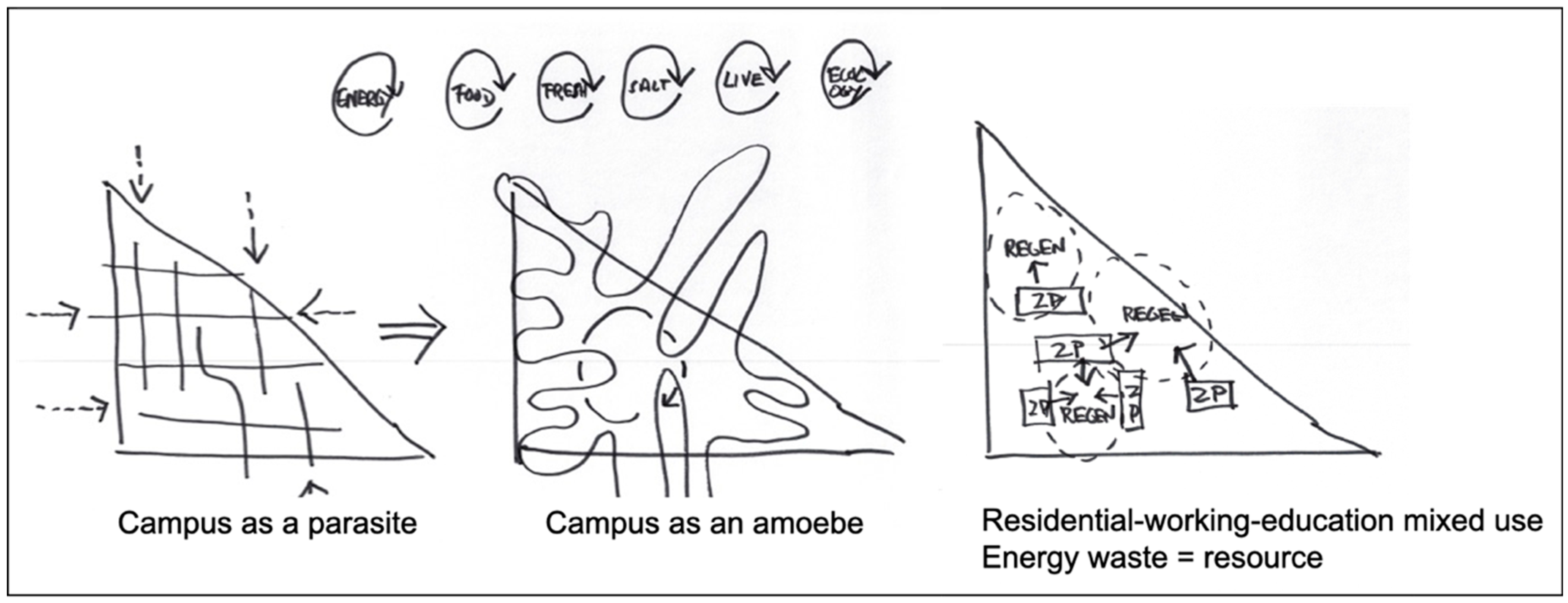 Sustainability 13 02368 g007 Sustainability 13 02368 g007