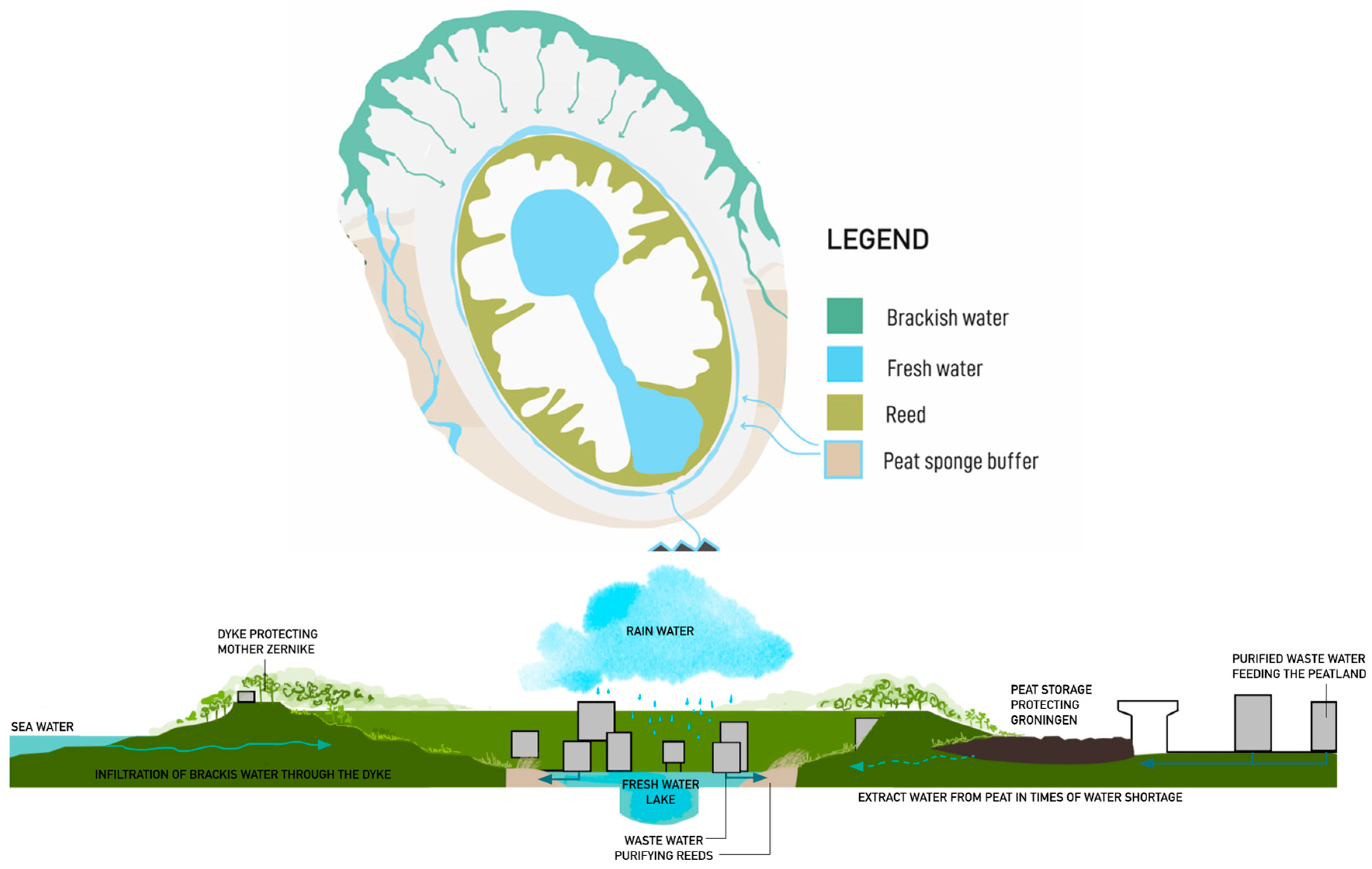 Sustainability 13 02368 g015 Sustainability 13 02368 g015