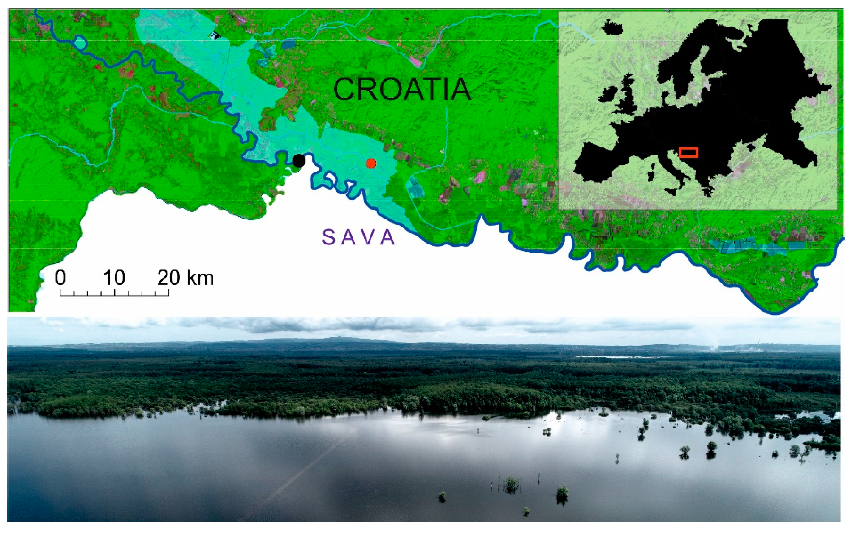 Sustainability 13 02408 g001 Sustainability 13 02408 g001