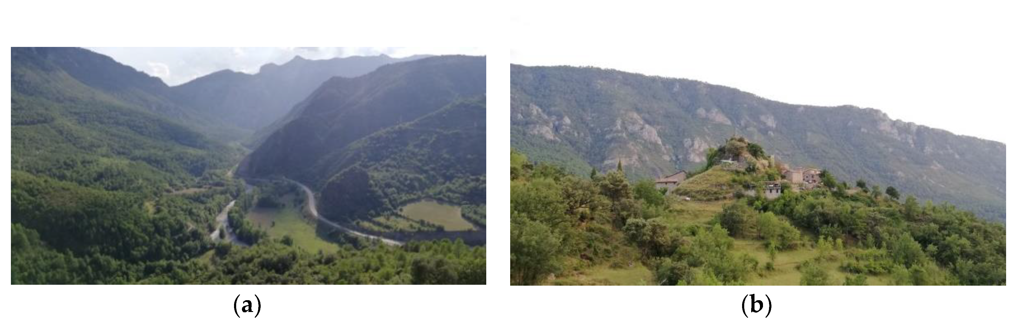 Sustainability 13 02411 g001