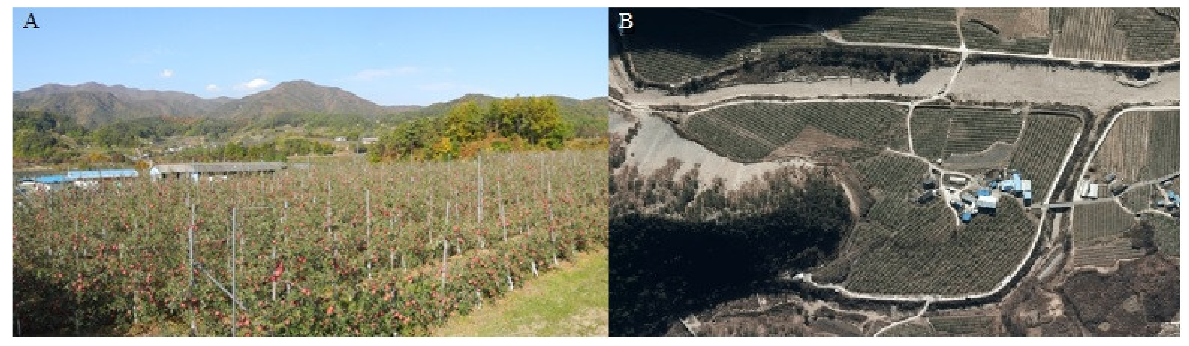 Sustainability 13 02423 g001 Sustainability 13 02423 g001