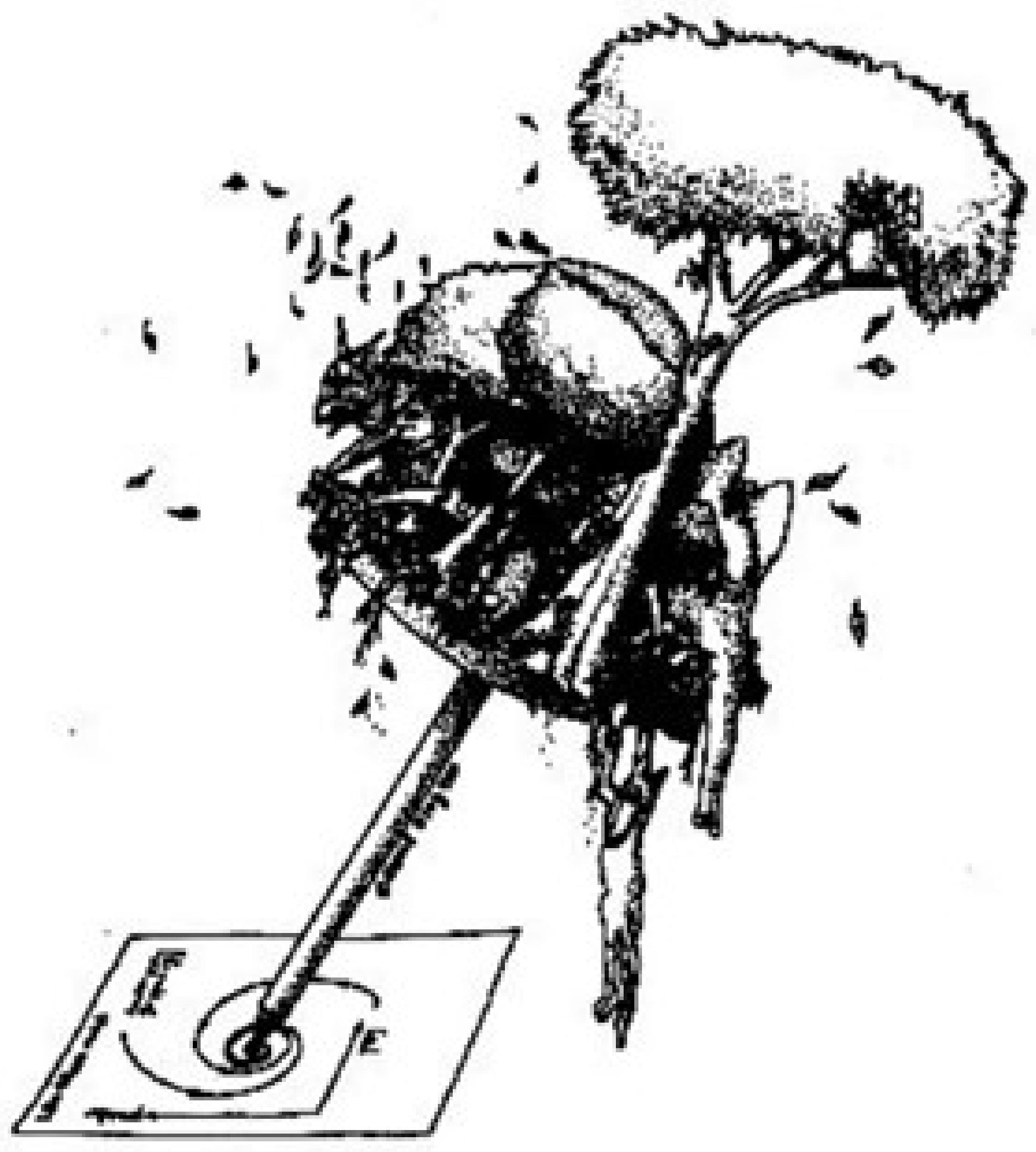 Sustainability 13 02438 g003