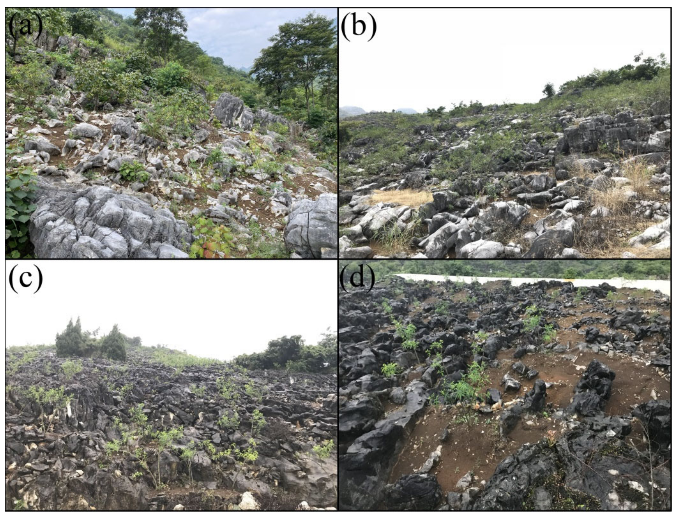Sustainability 13 02442 g005 Sustainability 13 02442 g005