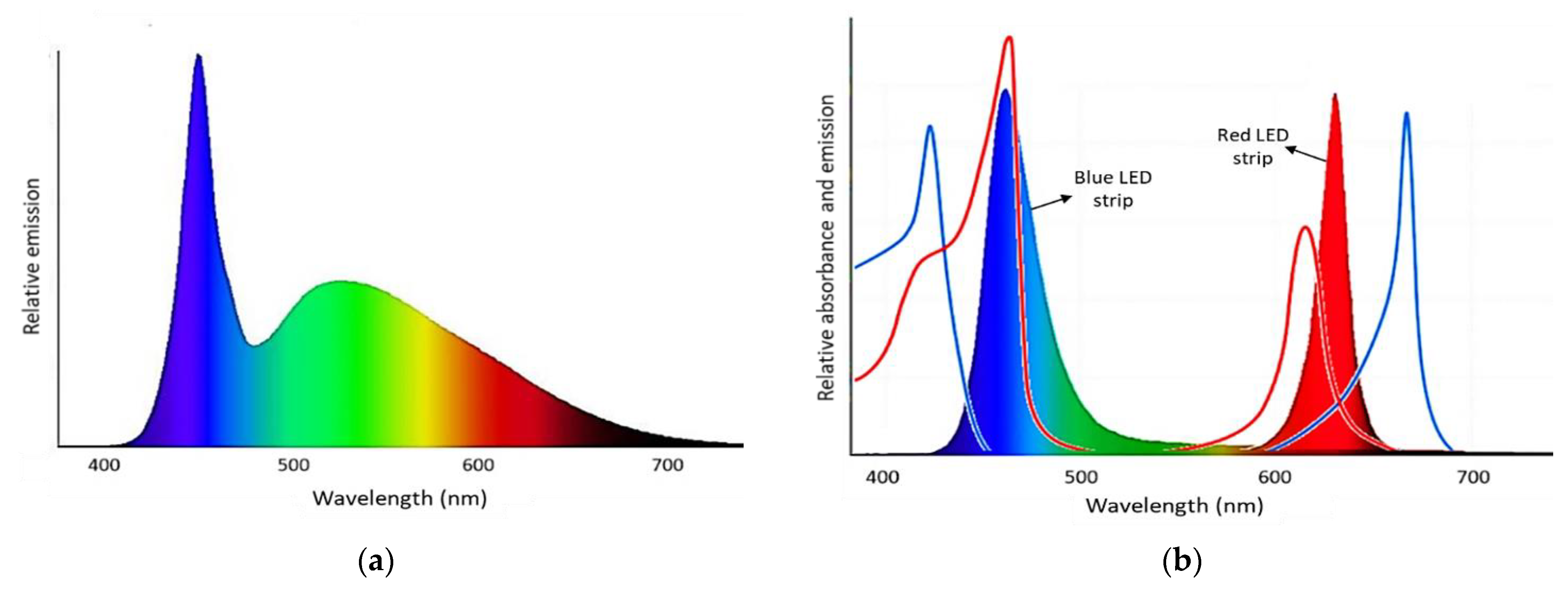 Sustainability 13 02489 g002