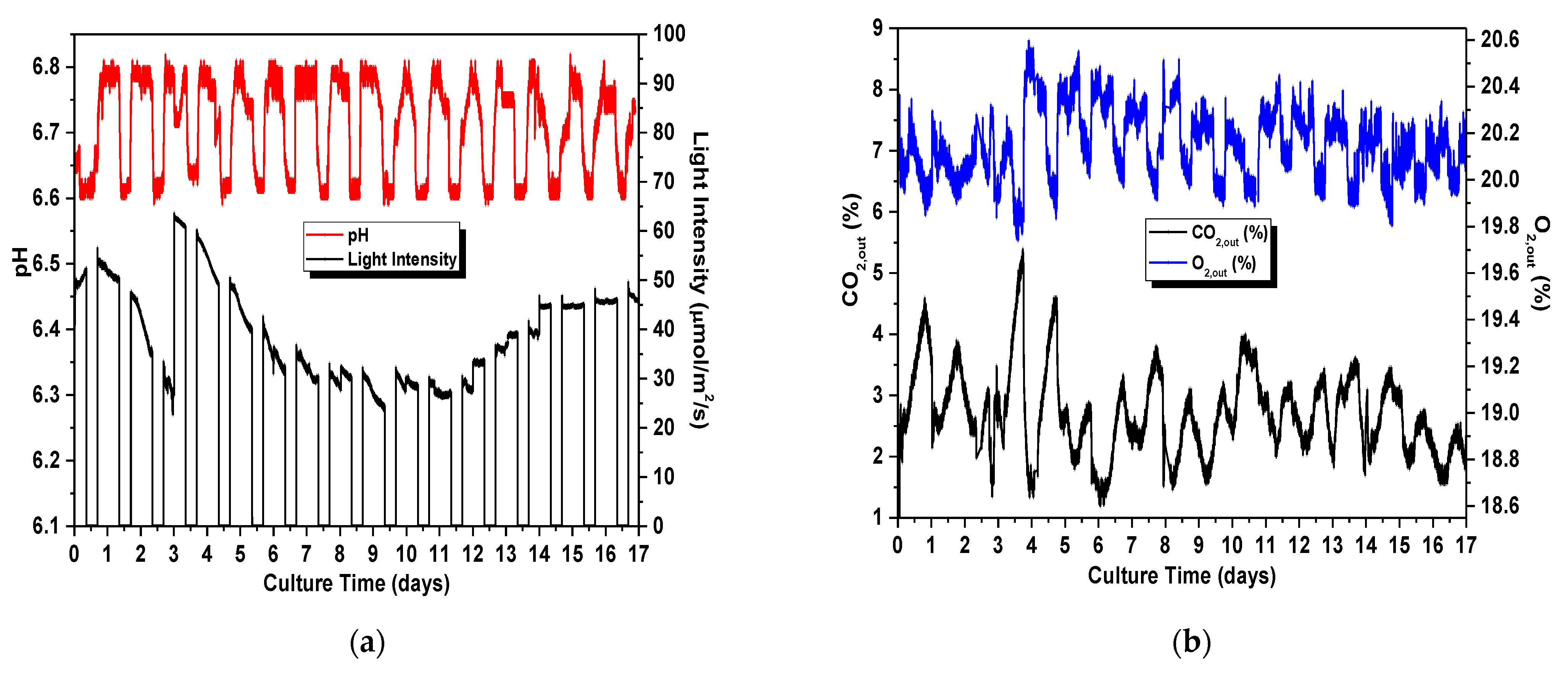Sustainability 13 02489 g004