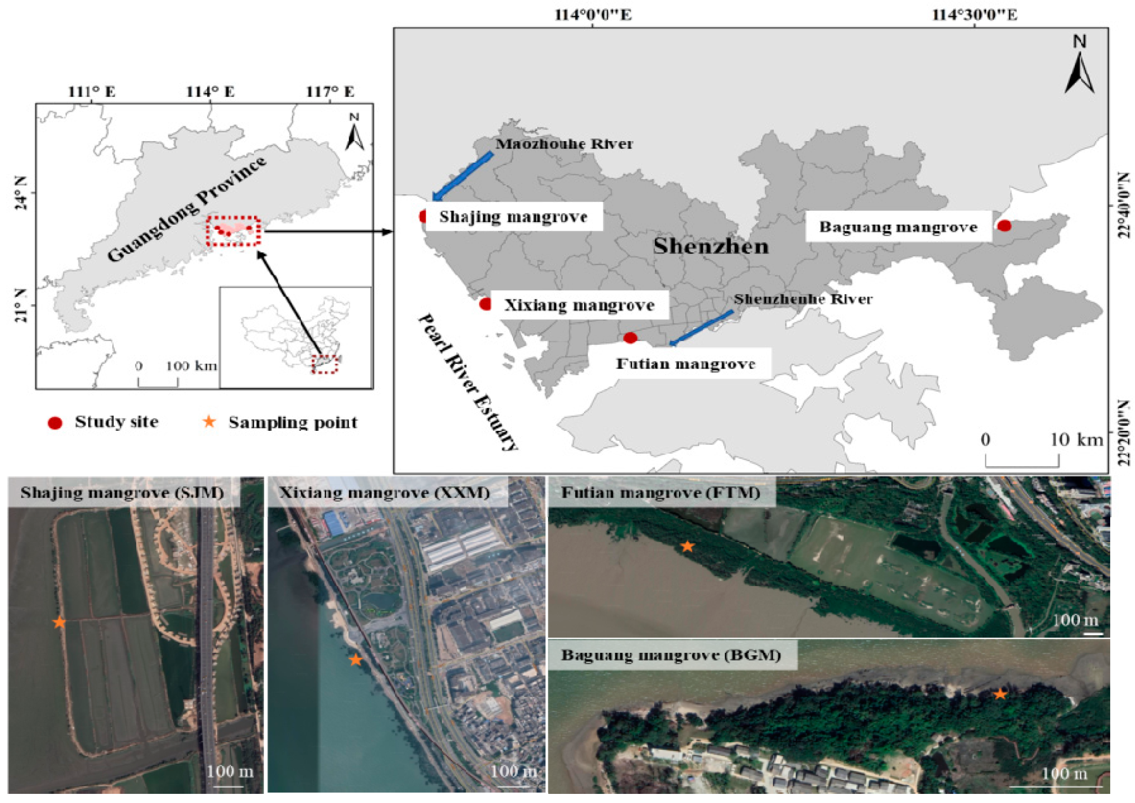 Sustainability 13 02503 g001 Sustainability 13 02503 g001