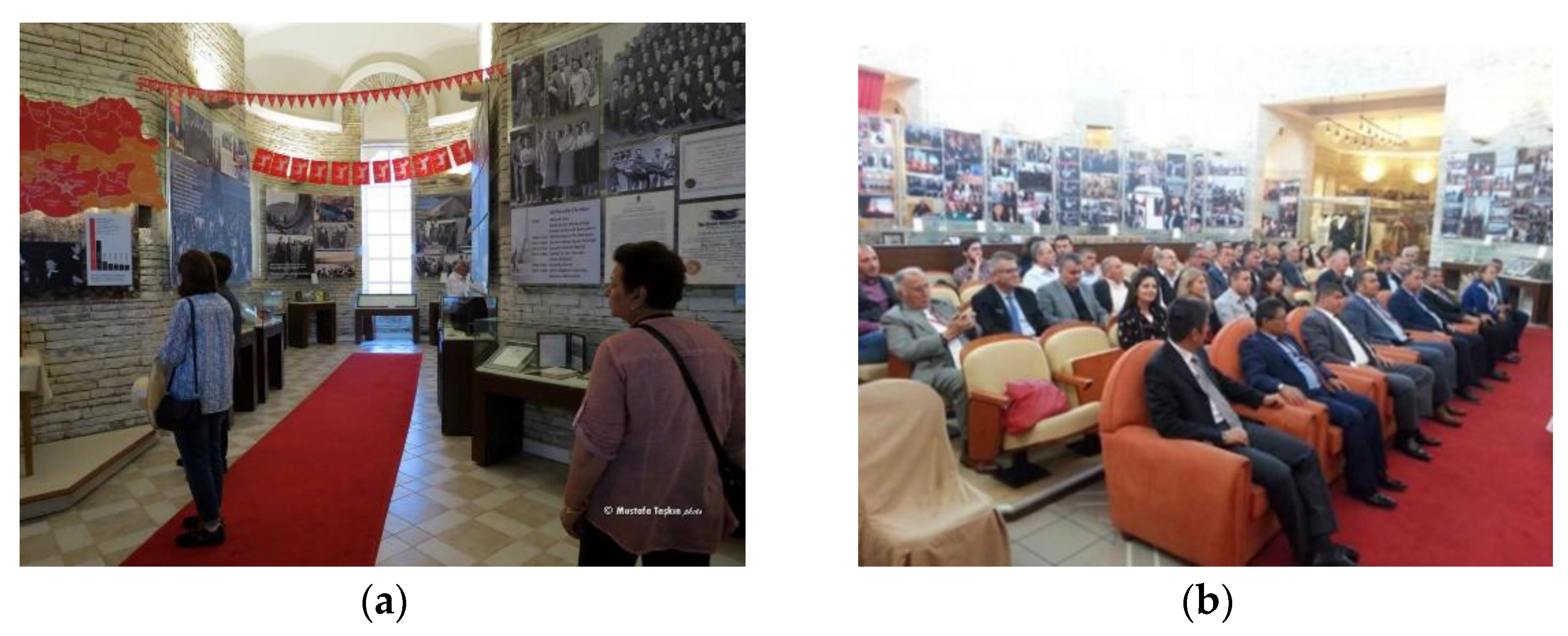 Sustainability 13 02514 g011