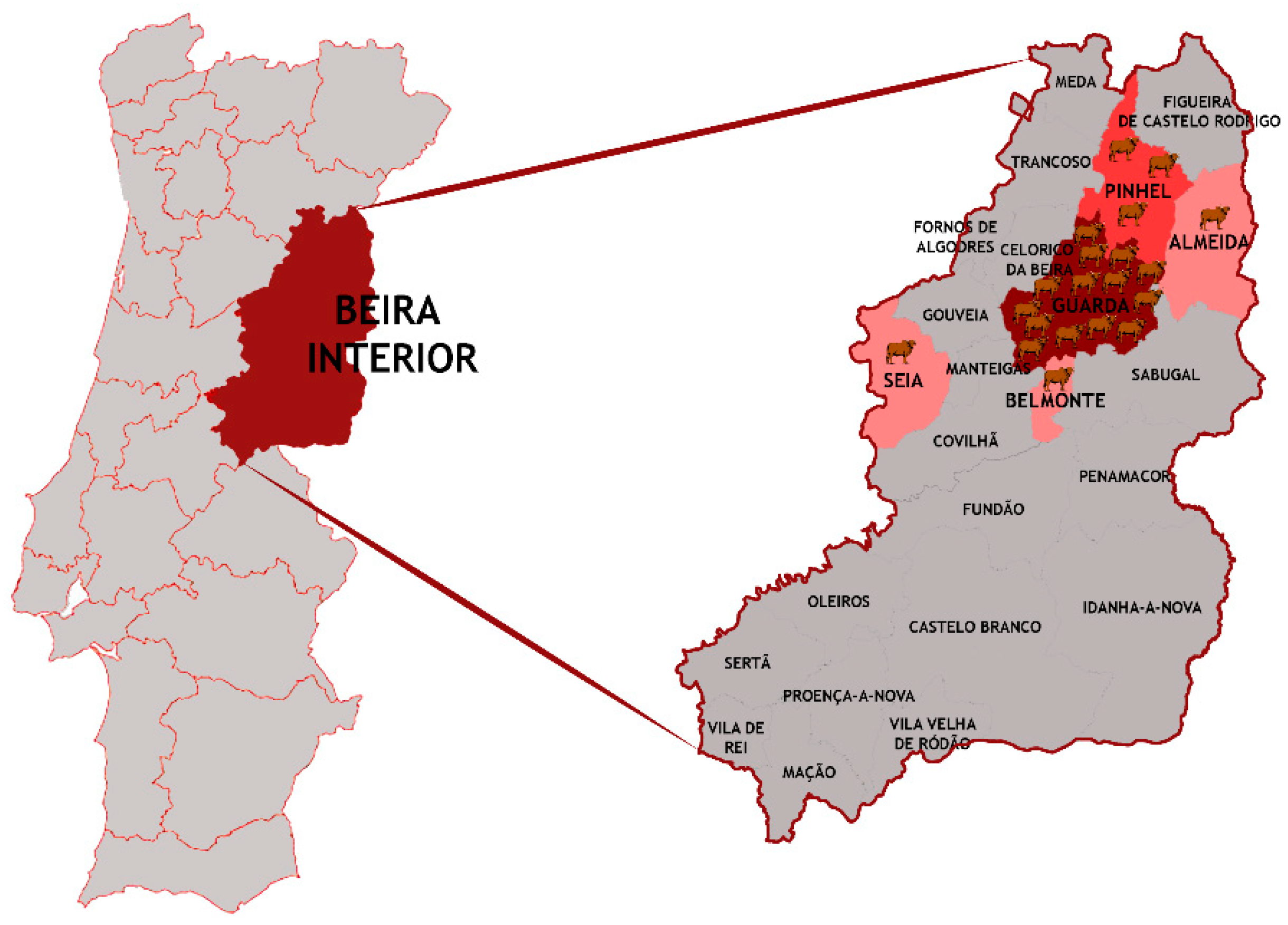 Sustainability 13 02515 g001