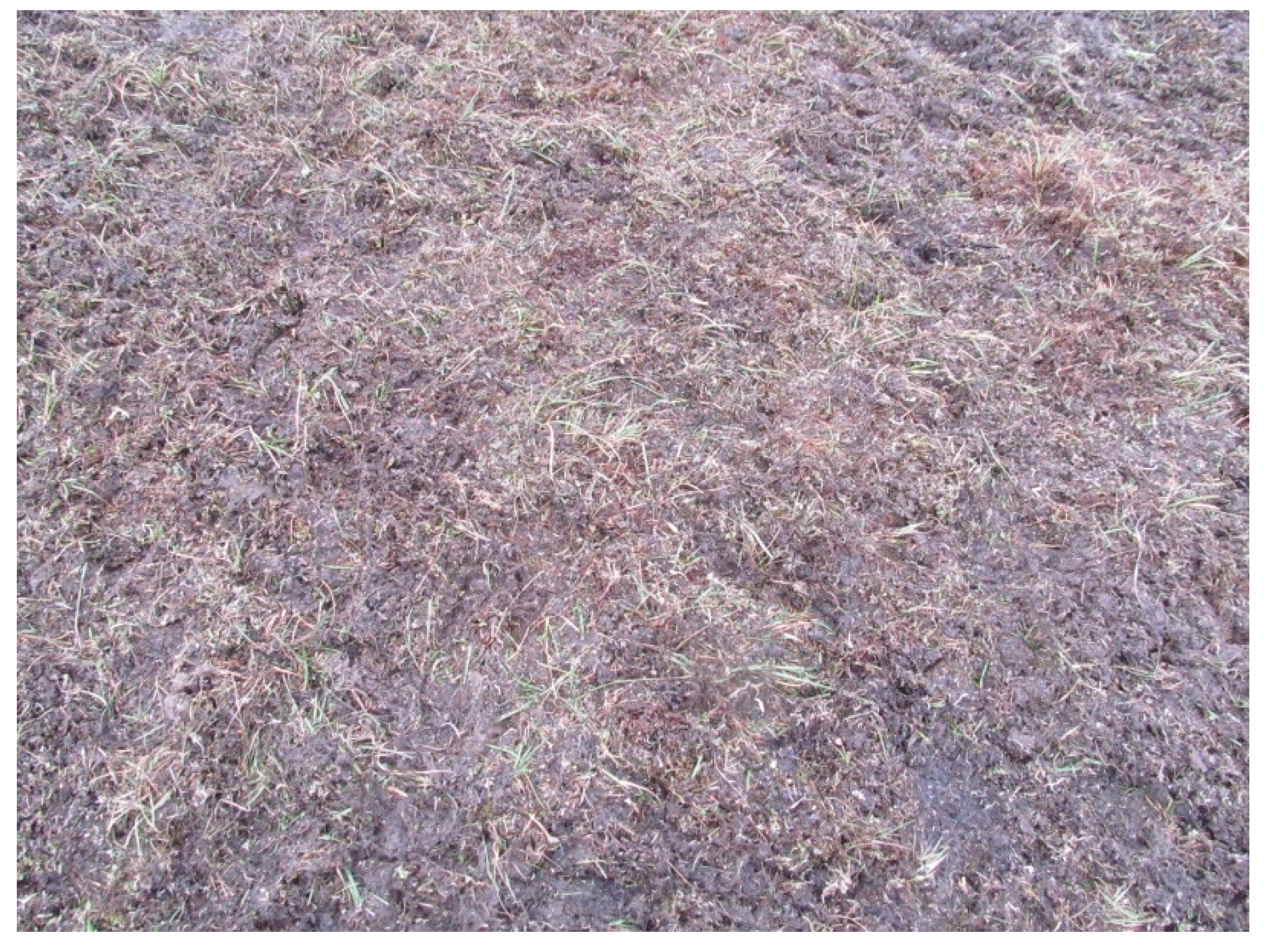 Sustainability 13 02561 g004