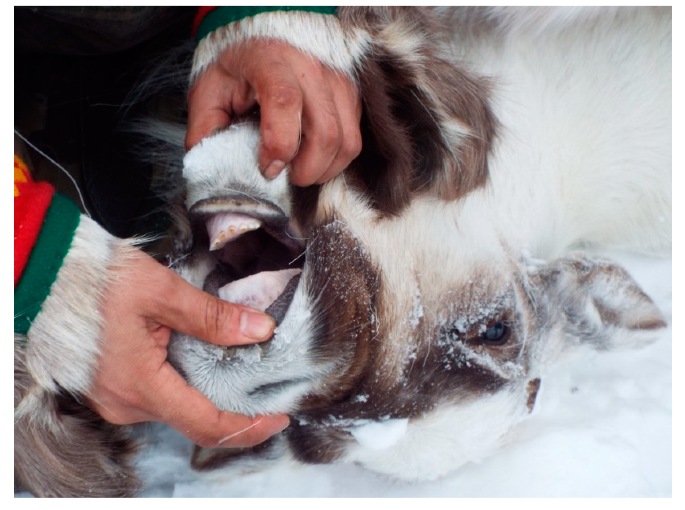 Sustainability 13 02561 g005