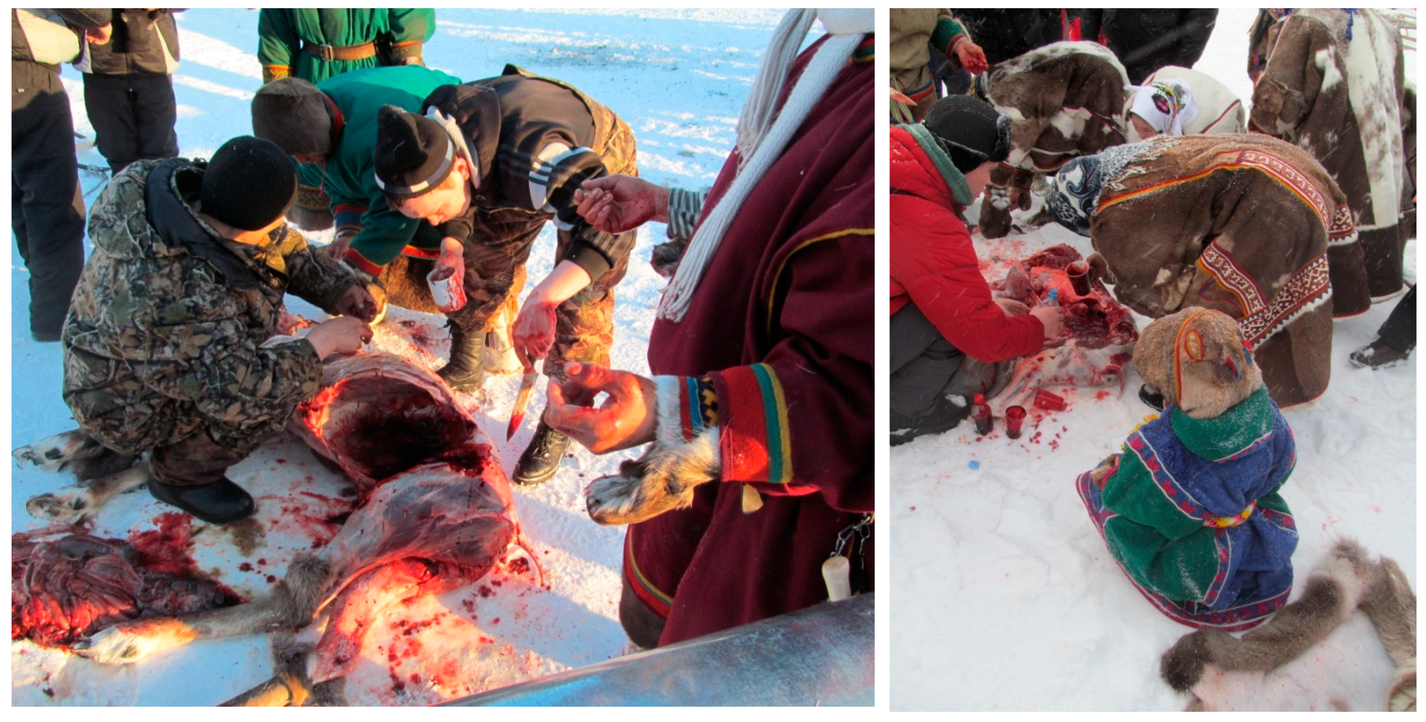 Sustainability 13 02561 g013