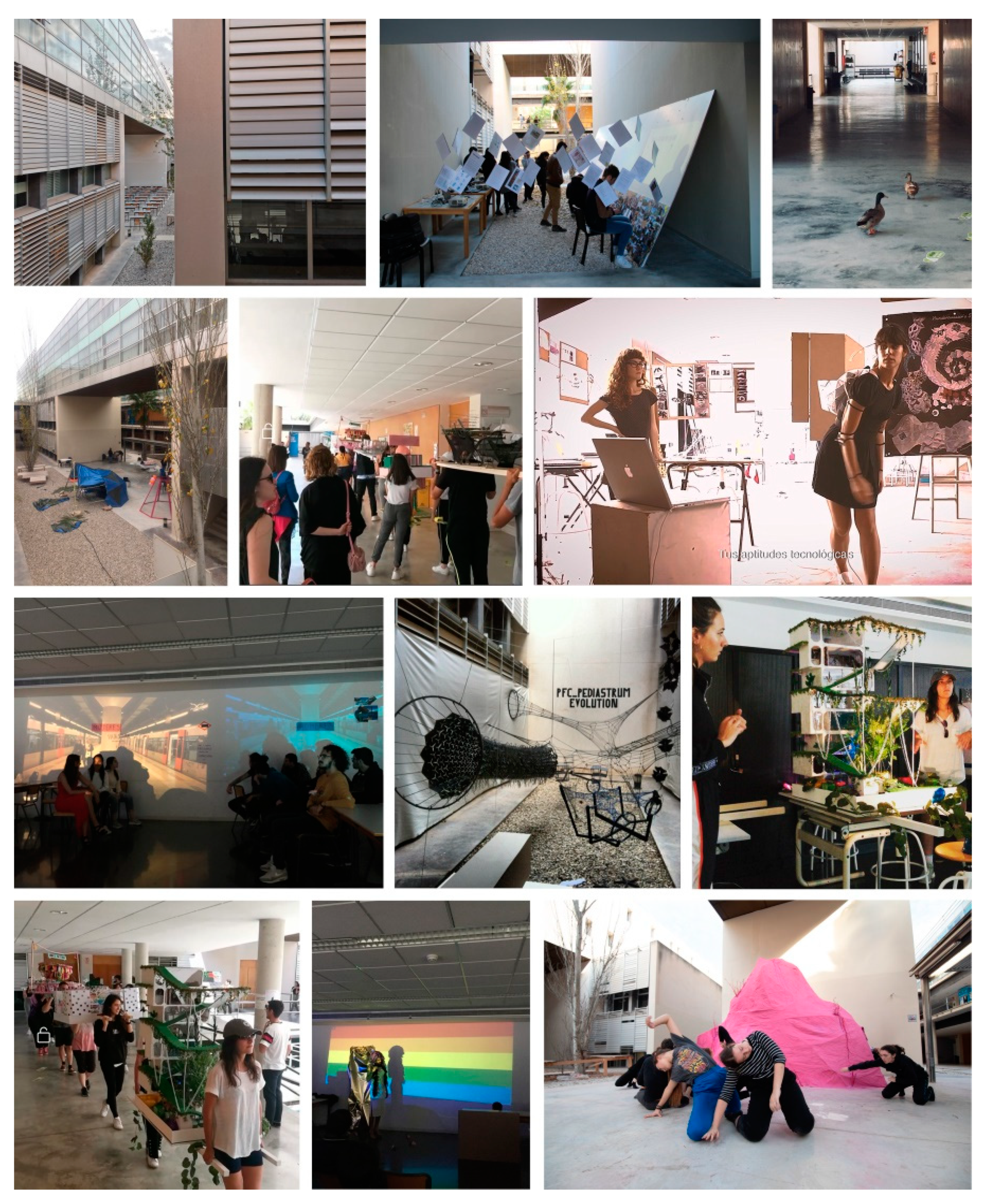 Sustainability 13 02565 g003