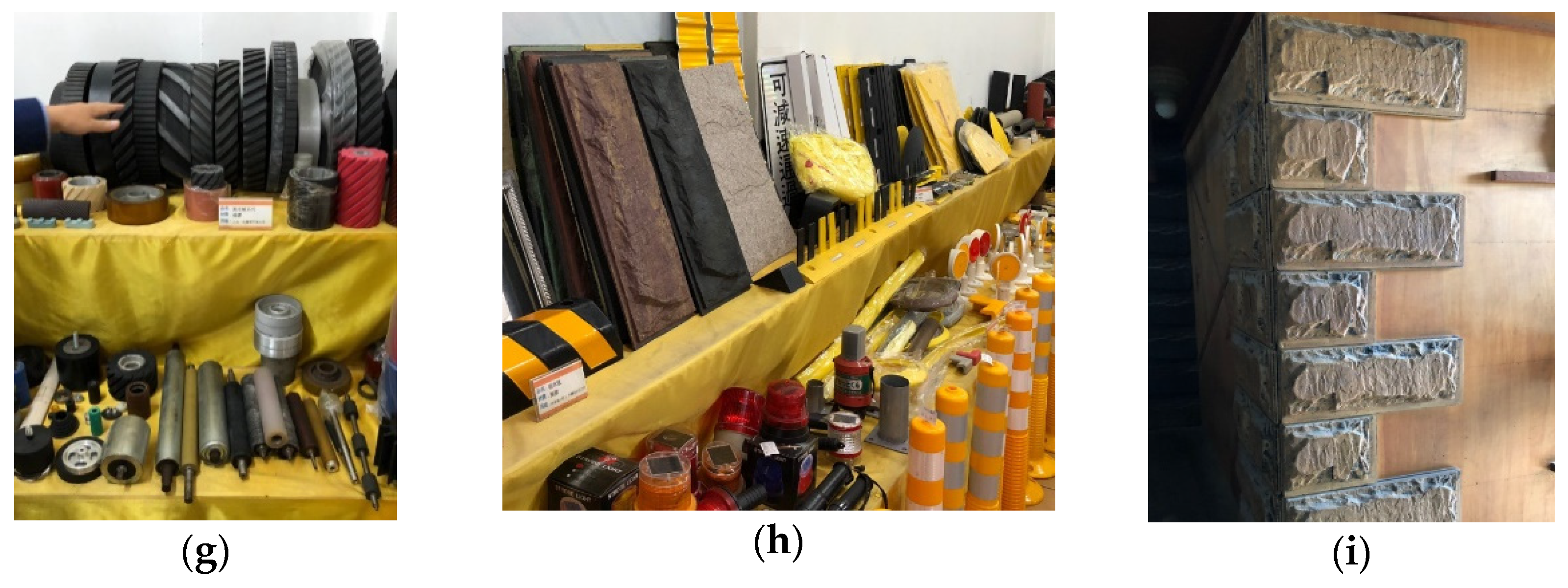 Sustainability 13 02576 g001b