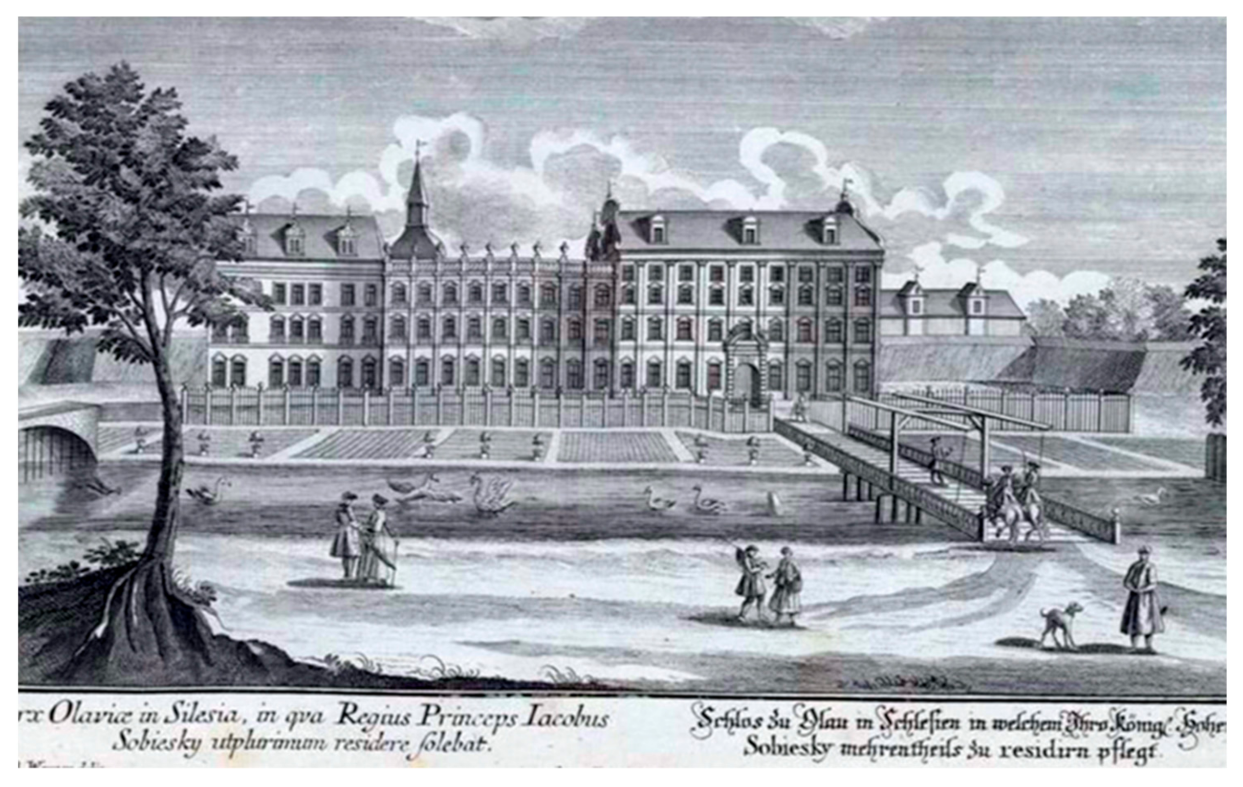 Sustainability 13 02623 g003