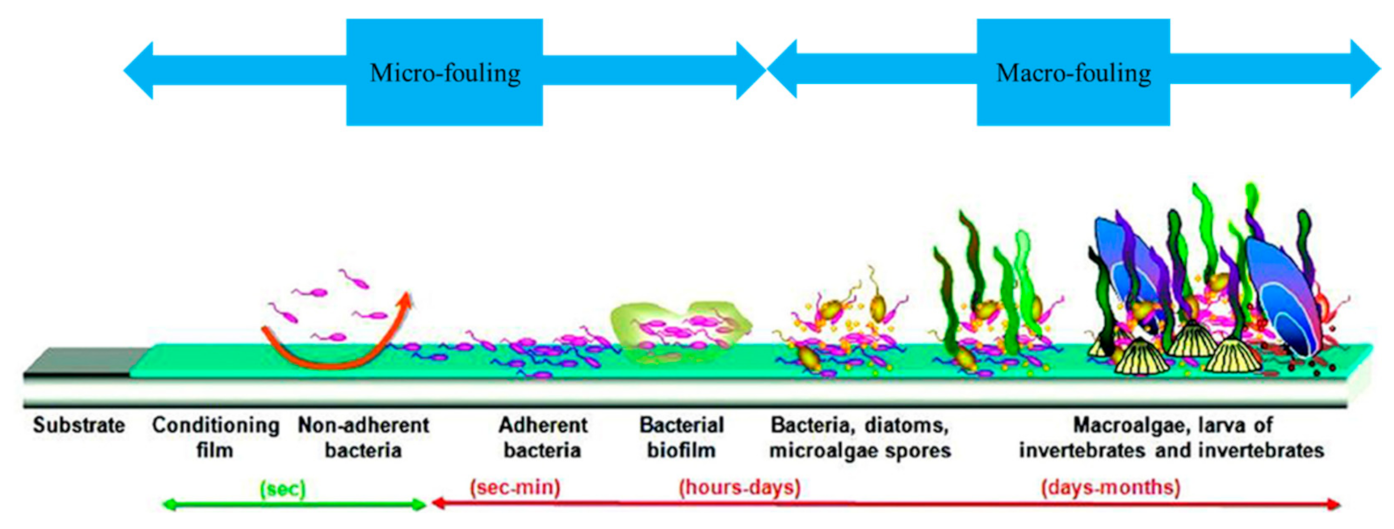 Sustainability 13 02625 g001