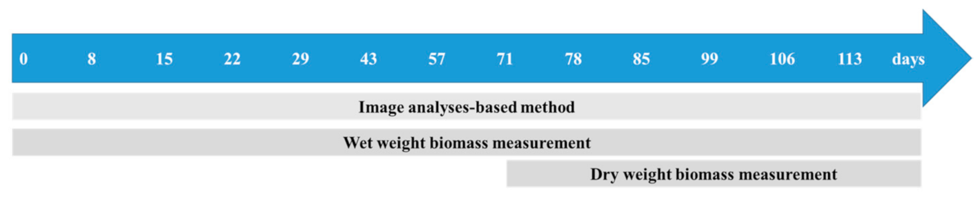 Sustainability 13 02625 g007