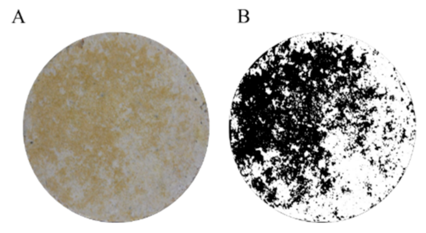 Sustainability 13 02625 g008