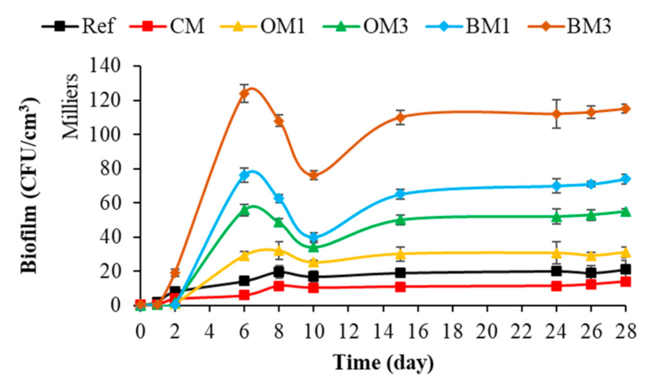 Sustainability 13 02625 g011