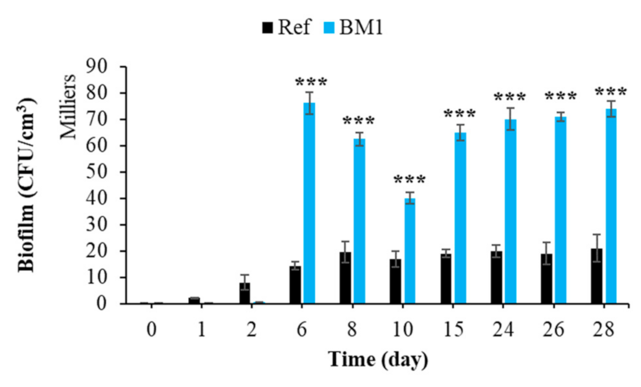 Sustainability 13 02625 g012