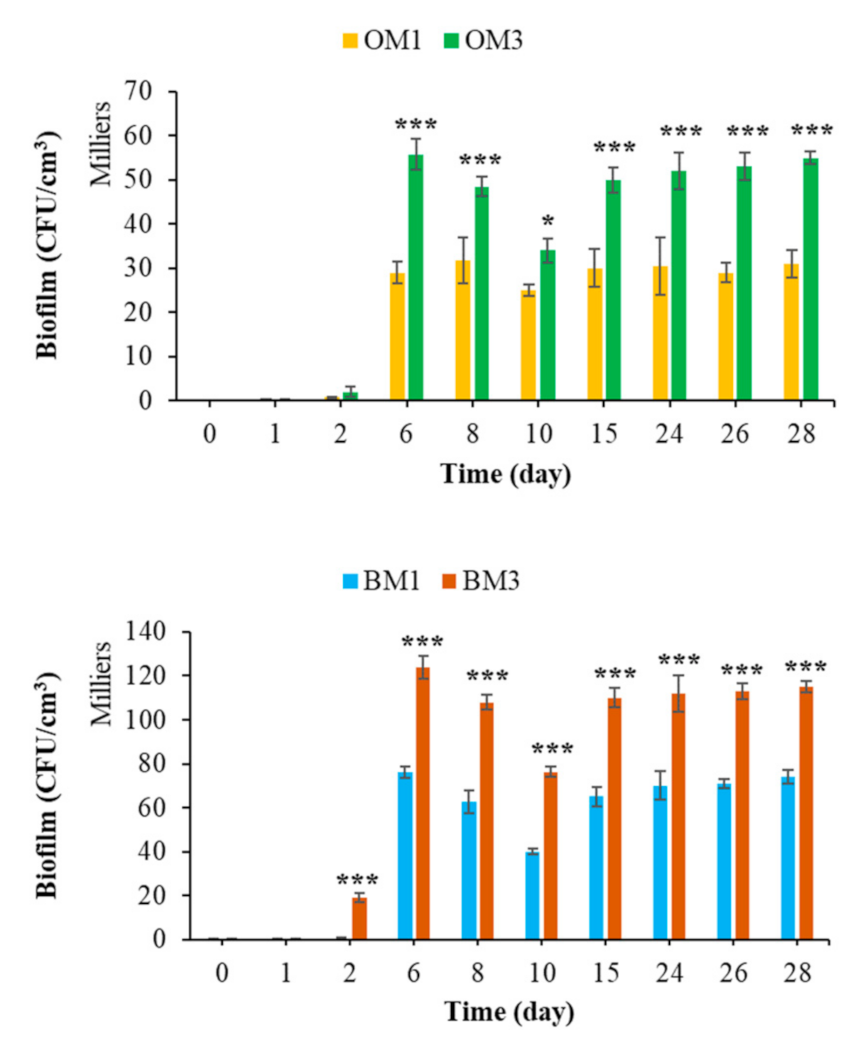 Sustainability 13 02625 g013