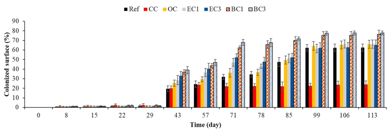 Sustainability 13 02625 g017