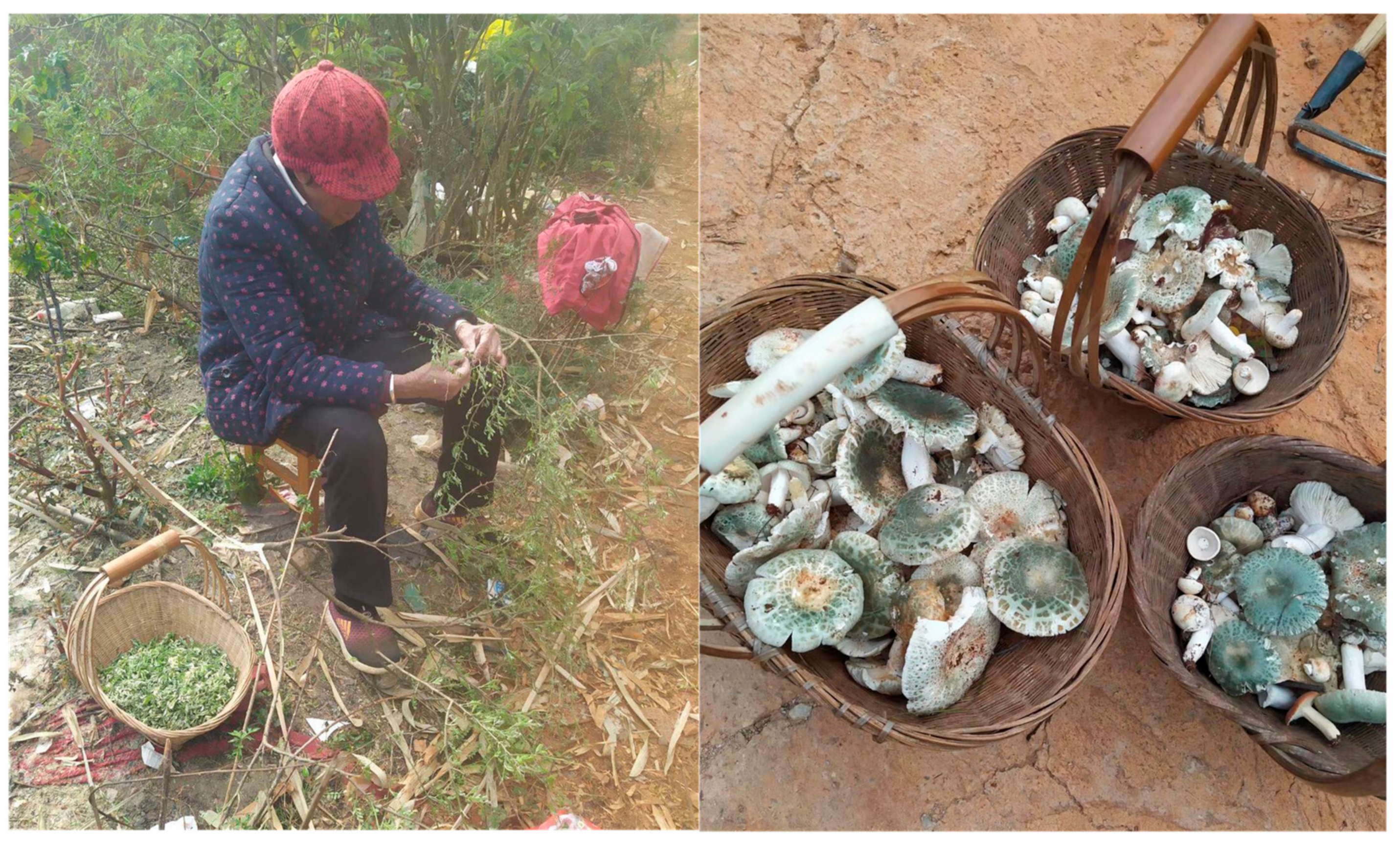 Sustainability 13 02629 g007 Sustainability 13 02629 g007