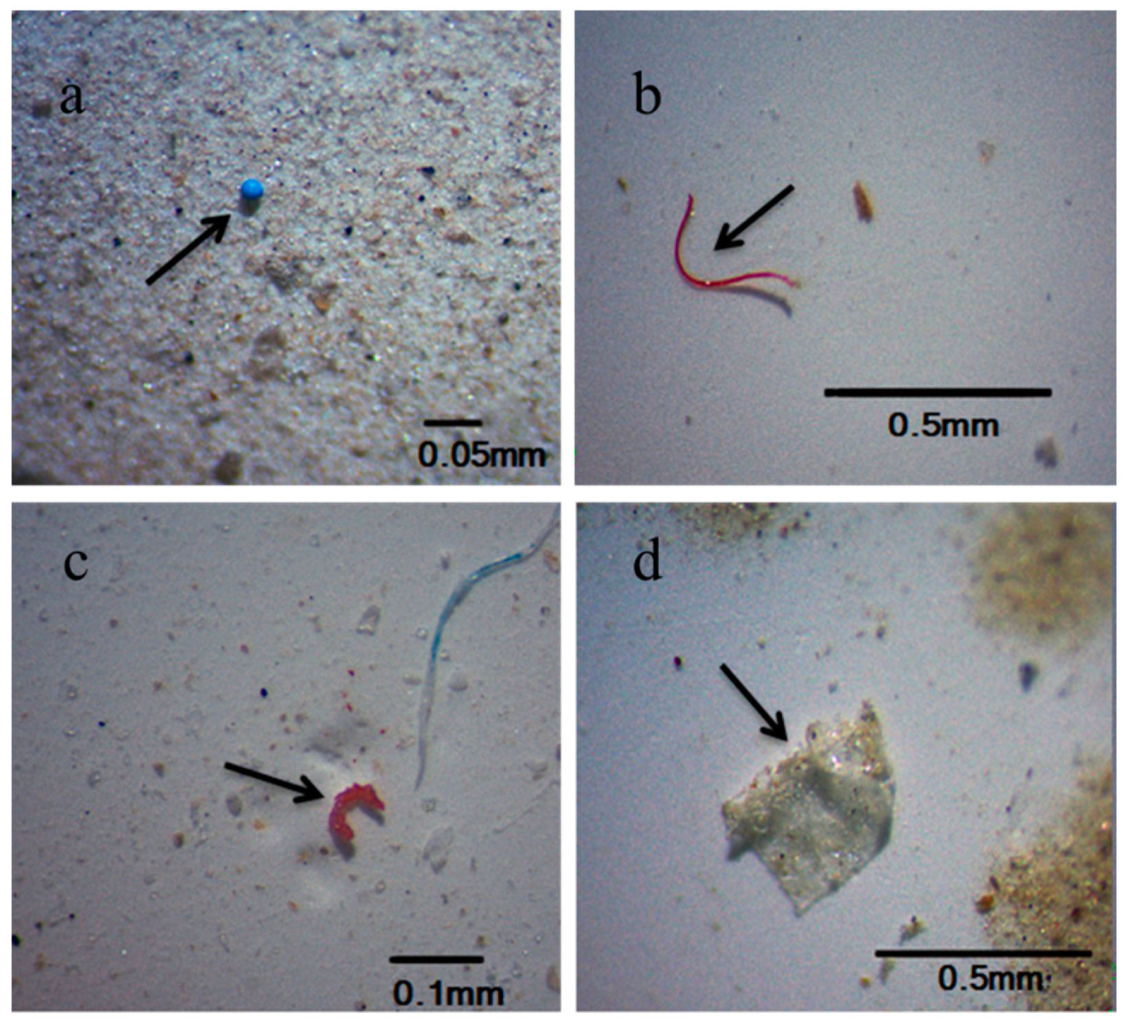 Sustainability 13 02691 g002