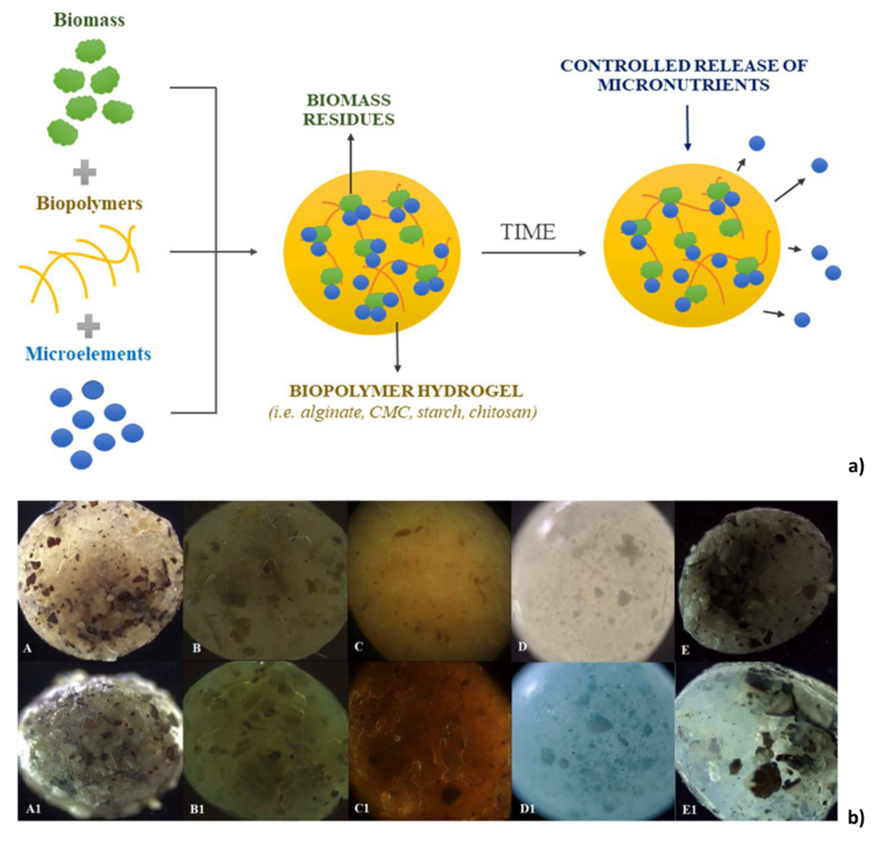 Sustainability 13 02710 g003 Sustainability 13 02710 g003