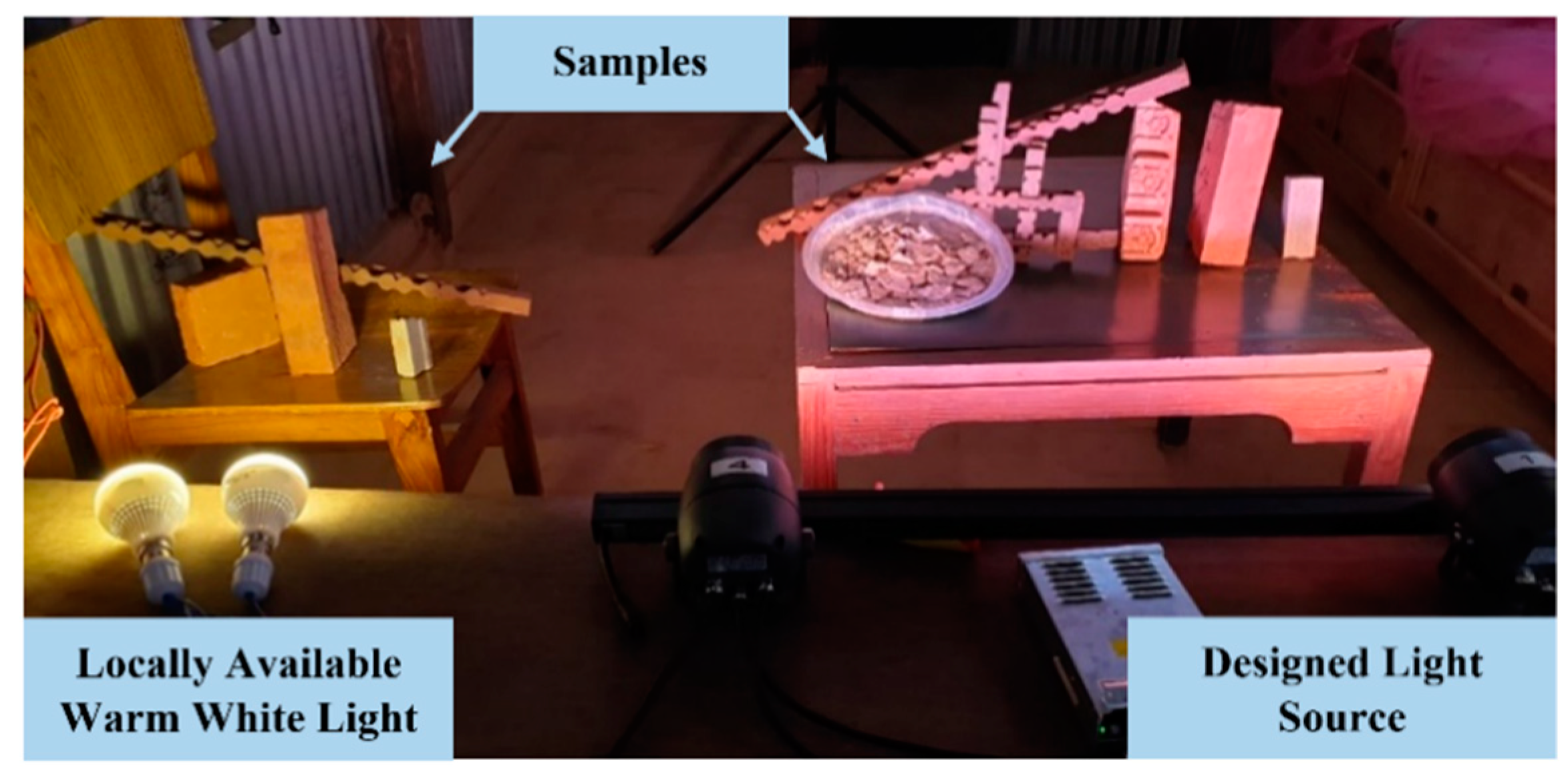 Sustainability 13 02720 g011