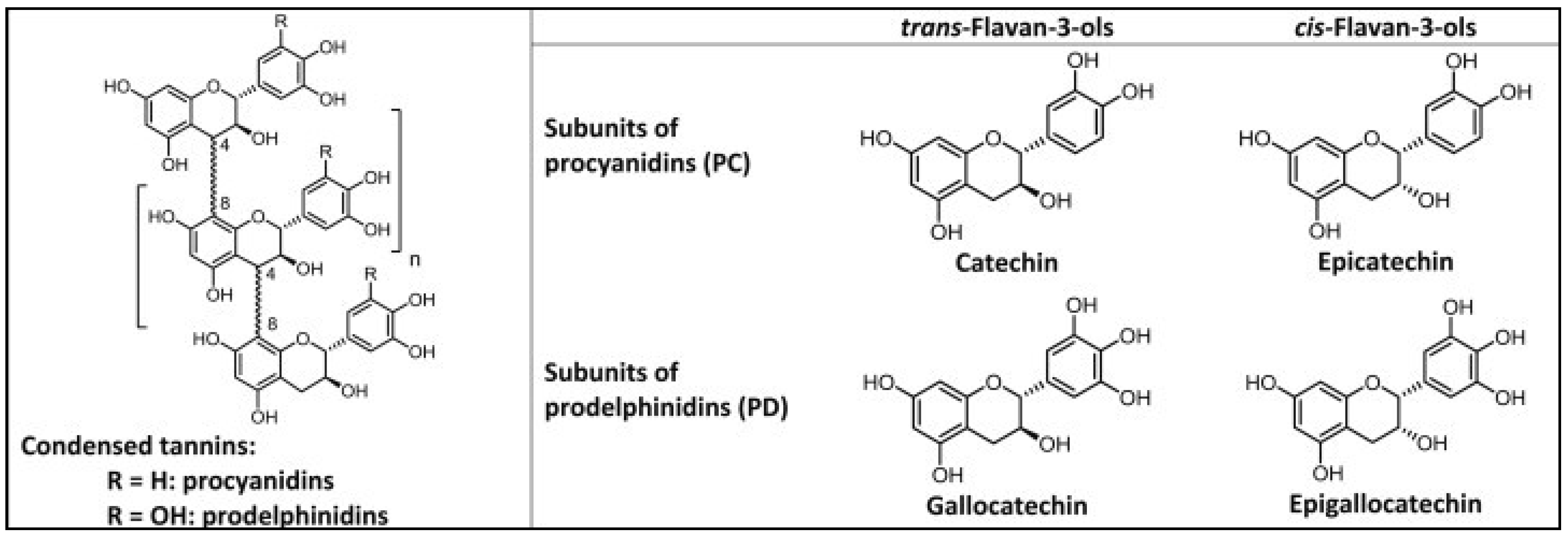 Sustainability 13 02743 g001