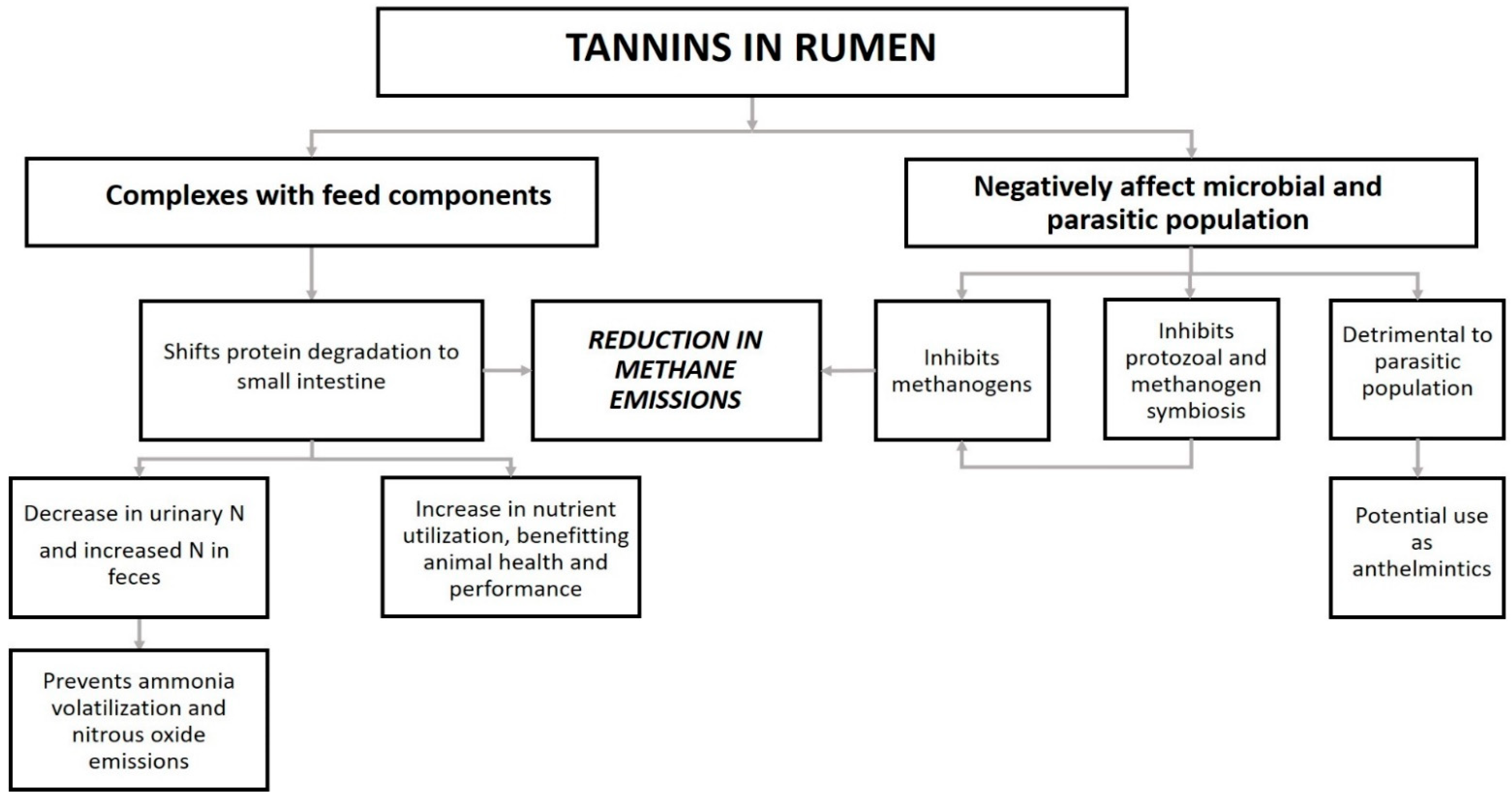 Sustainability 13 02743 g003