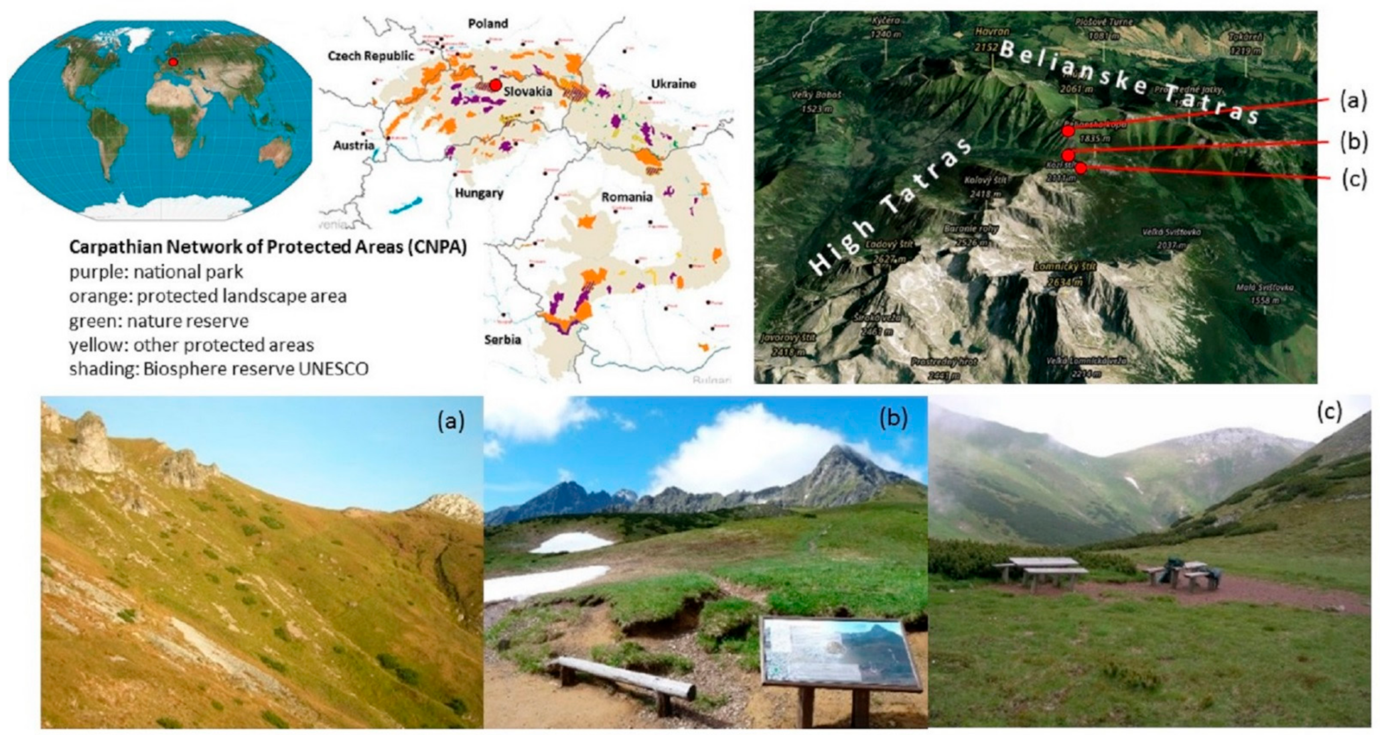 Sustainability 13 02750 g001 Sustainability 13 02750 g001