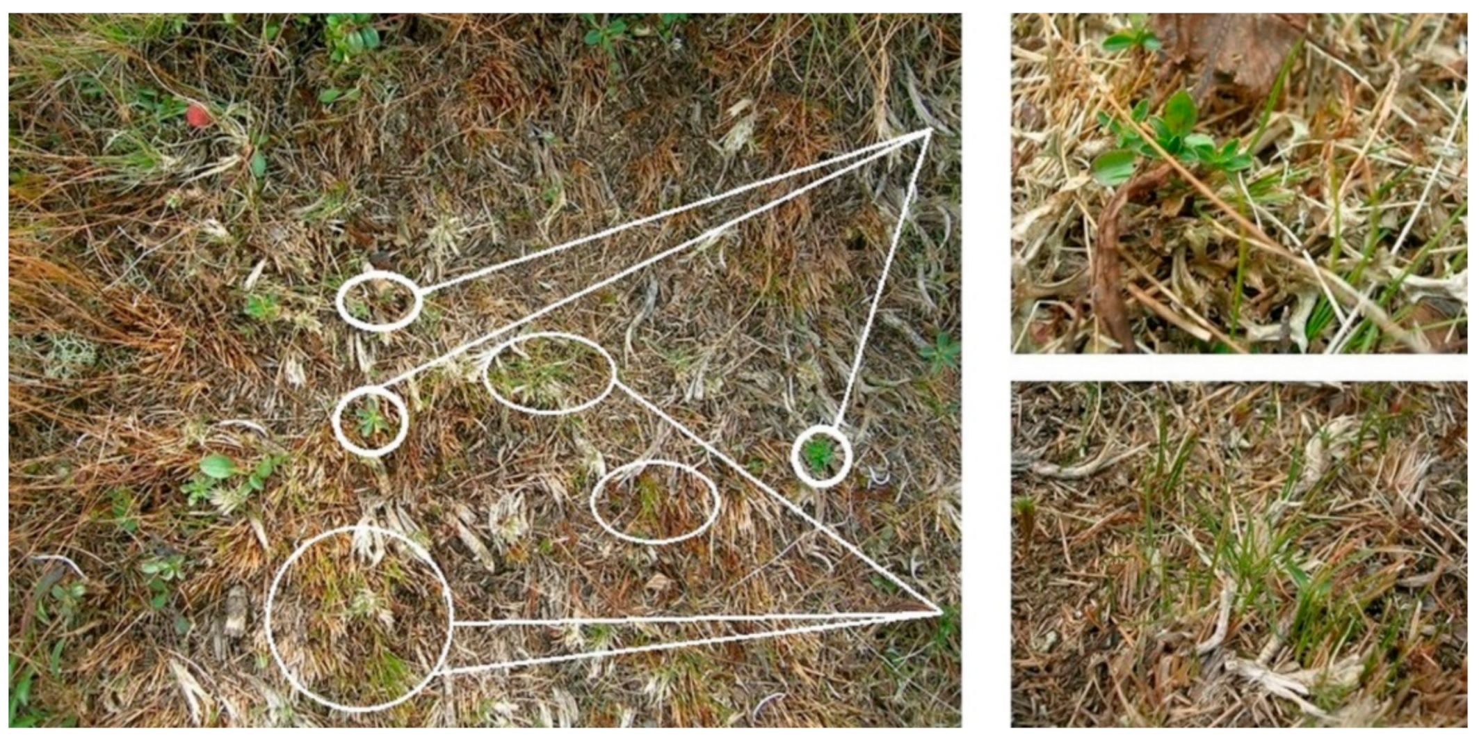 Sustainability 13 02750 g007 Sustainability 13 02750 g007