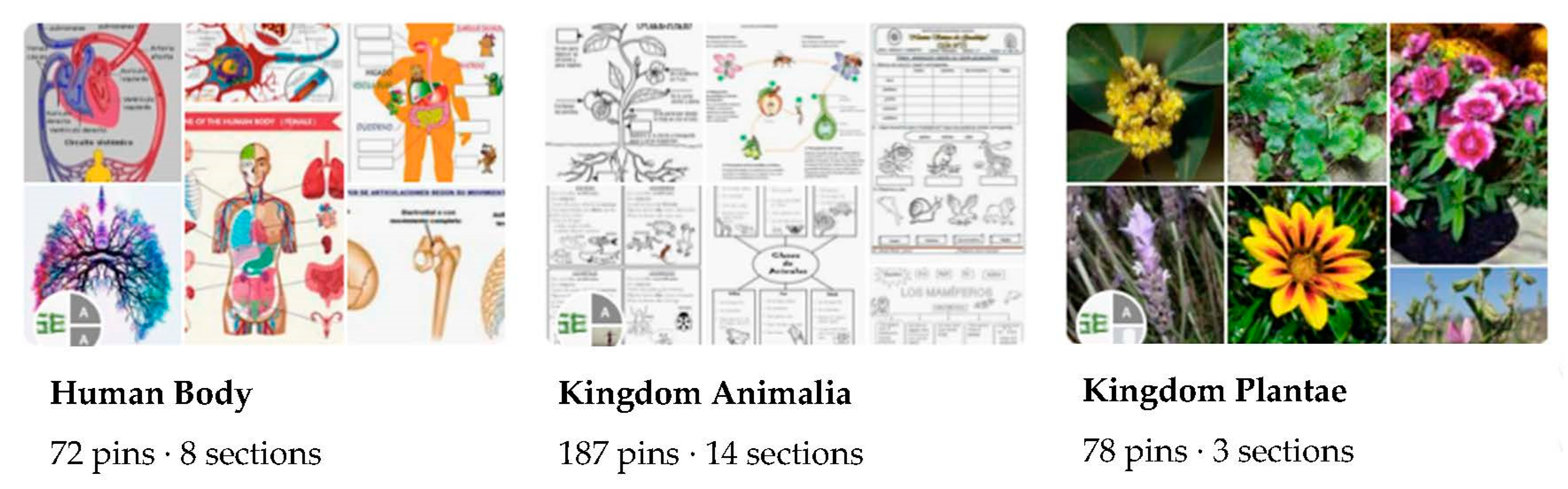 Sustainability 13 02816 g001 Sustainability 13 02816 g001