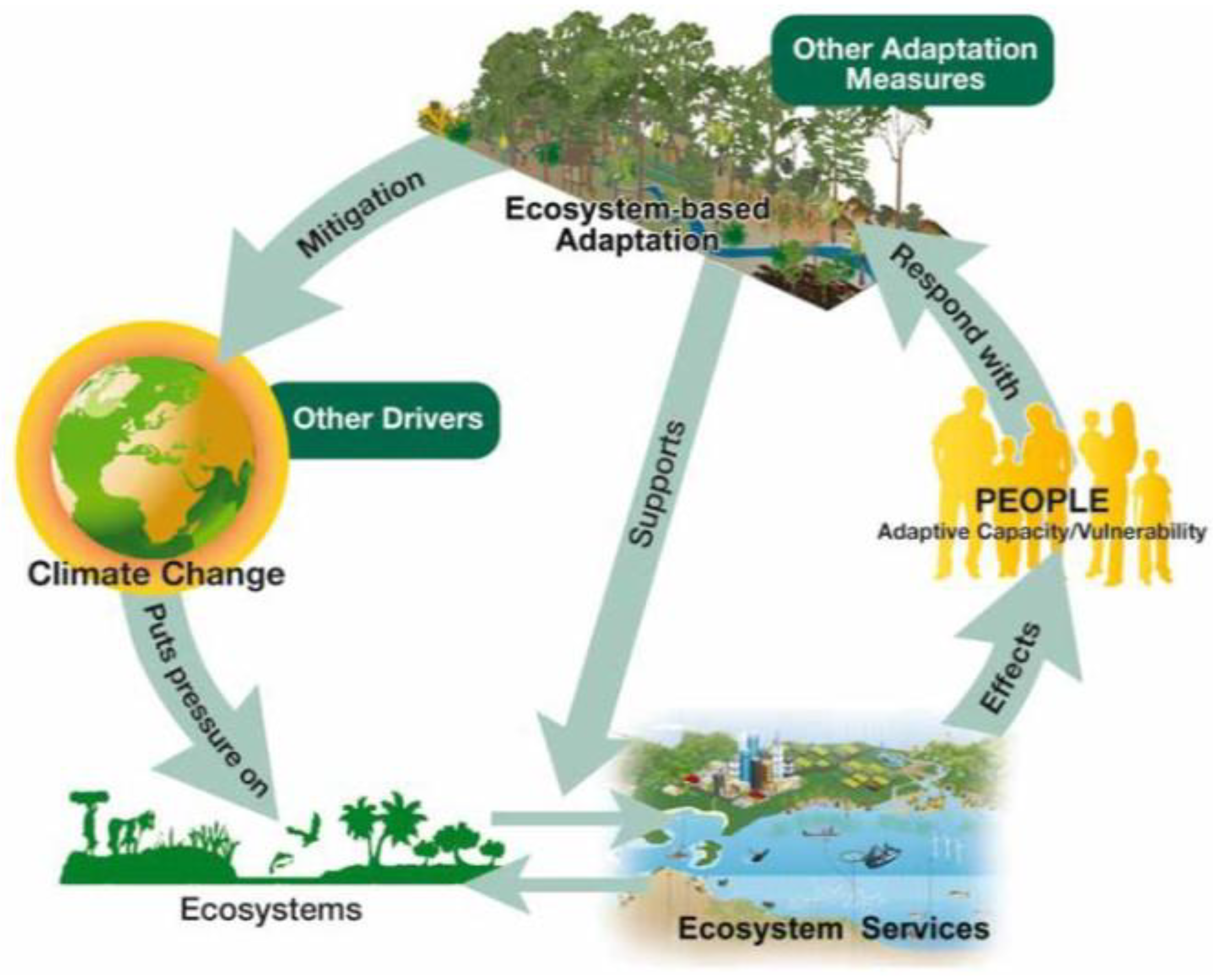 Sustainability 13 02825 g001 Sustainability 13 02825 g001