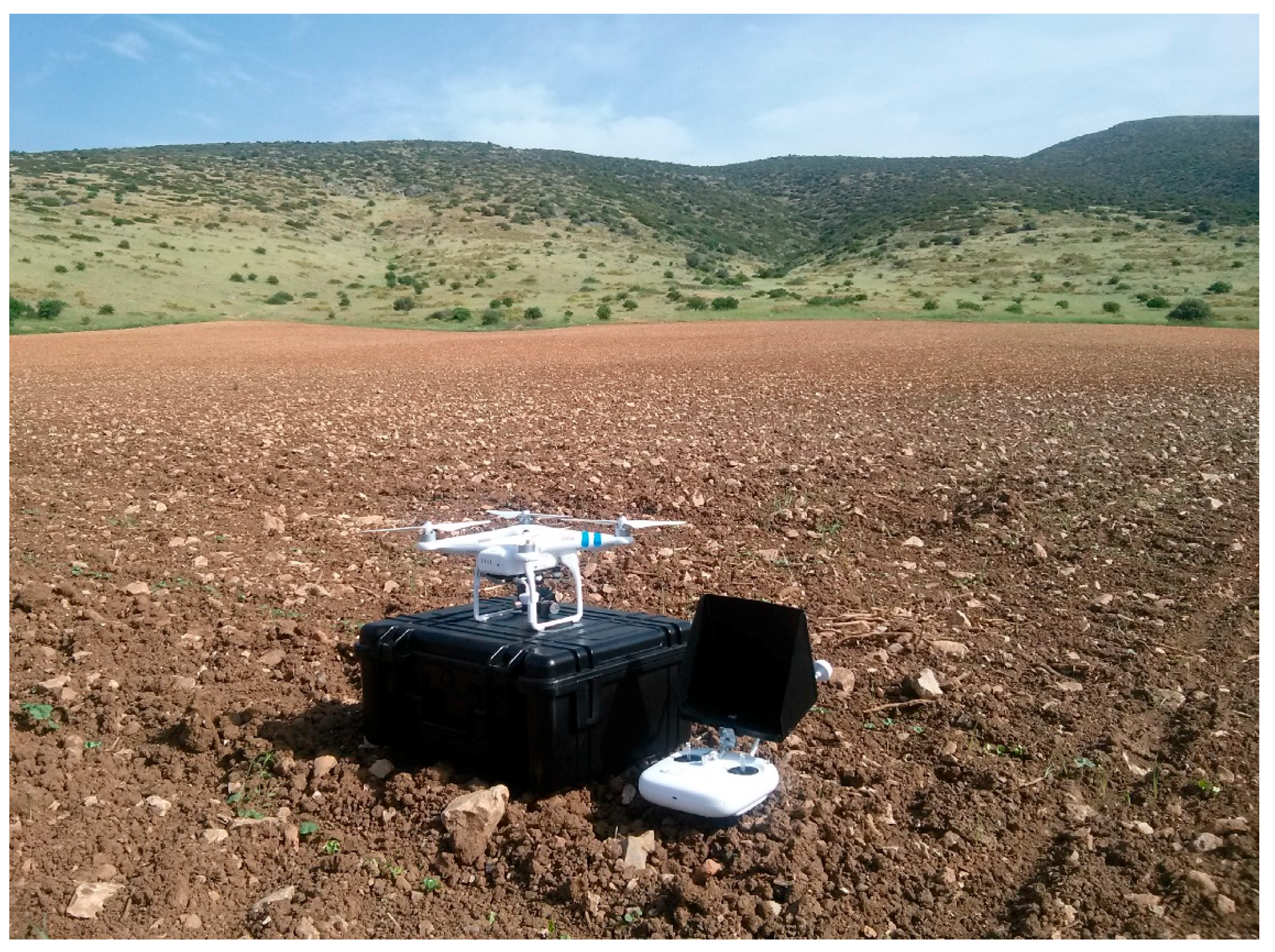 Sustainability 13 02855 g006