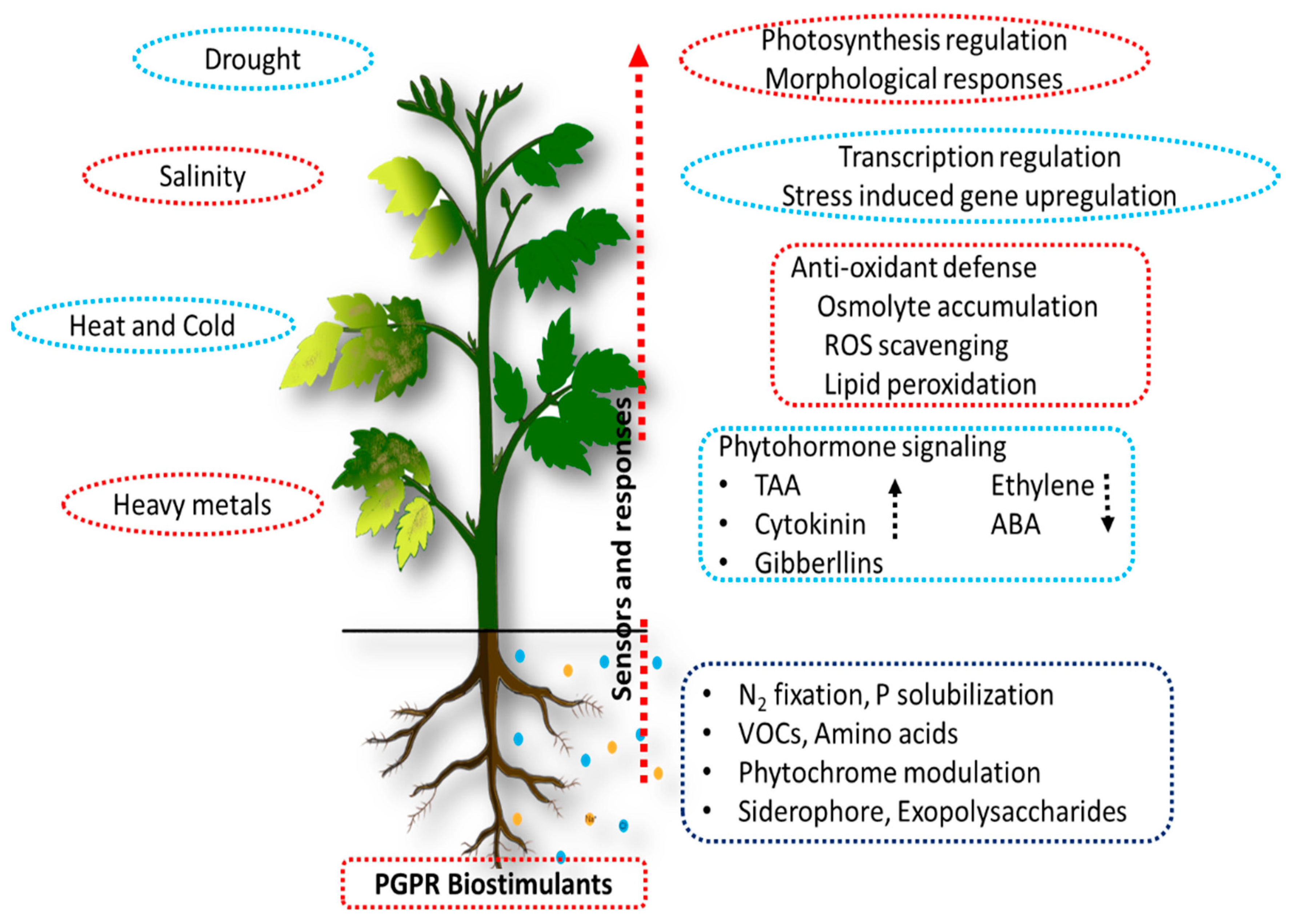 Sustainability 13 02856 g003