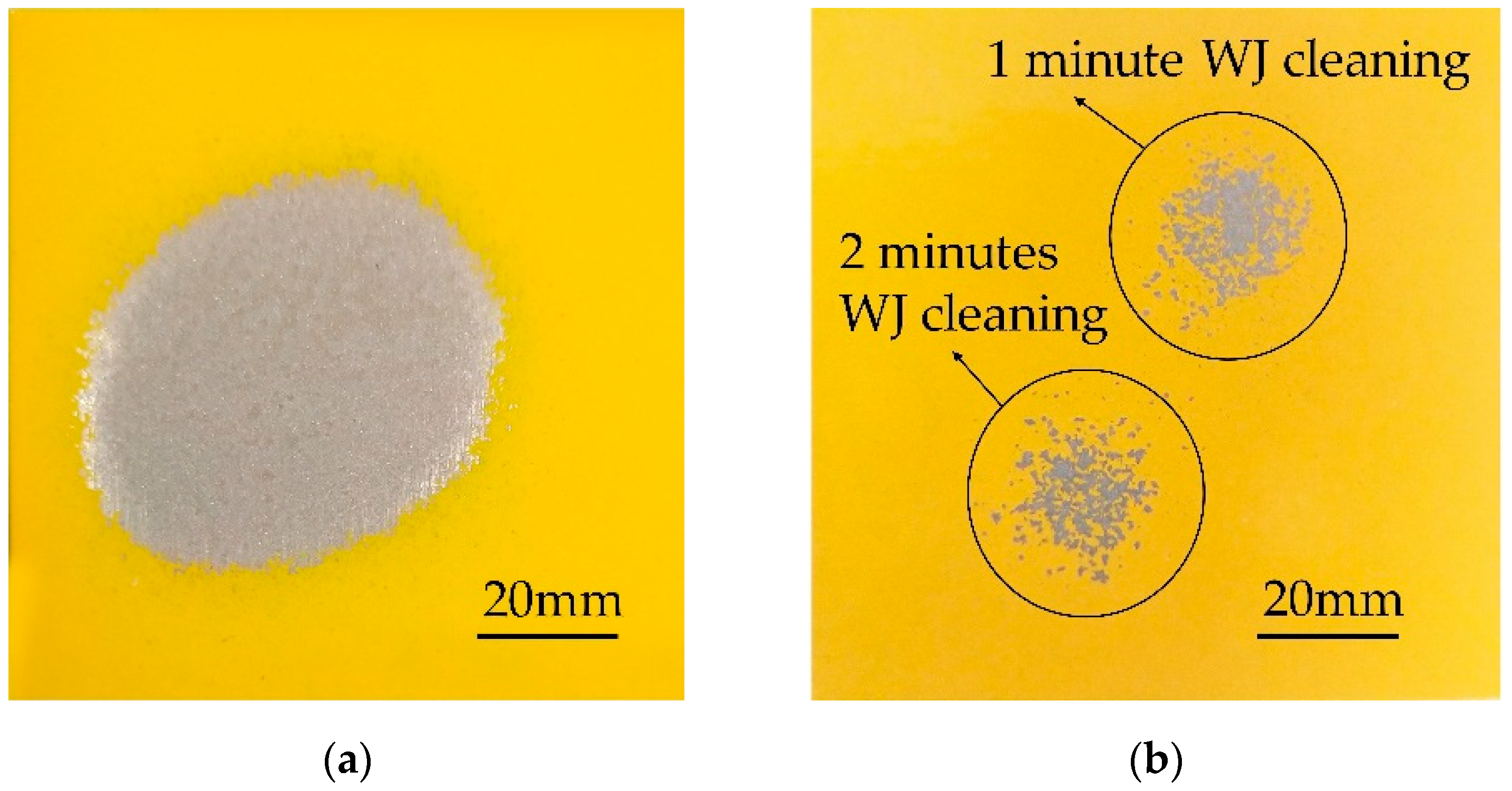 Sustainability 13 02900 g003