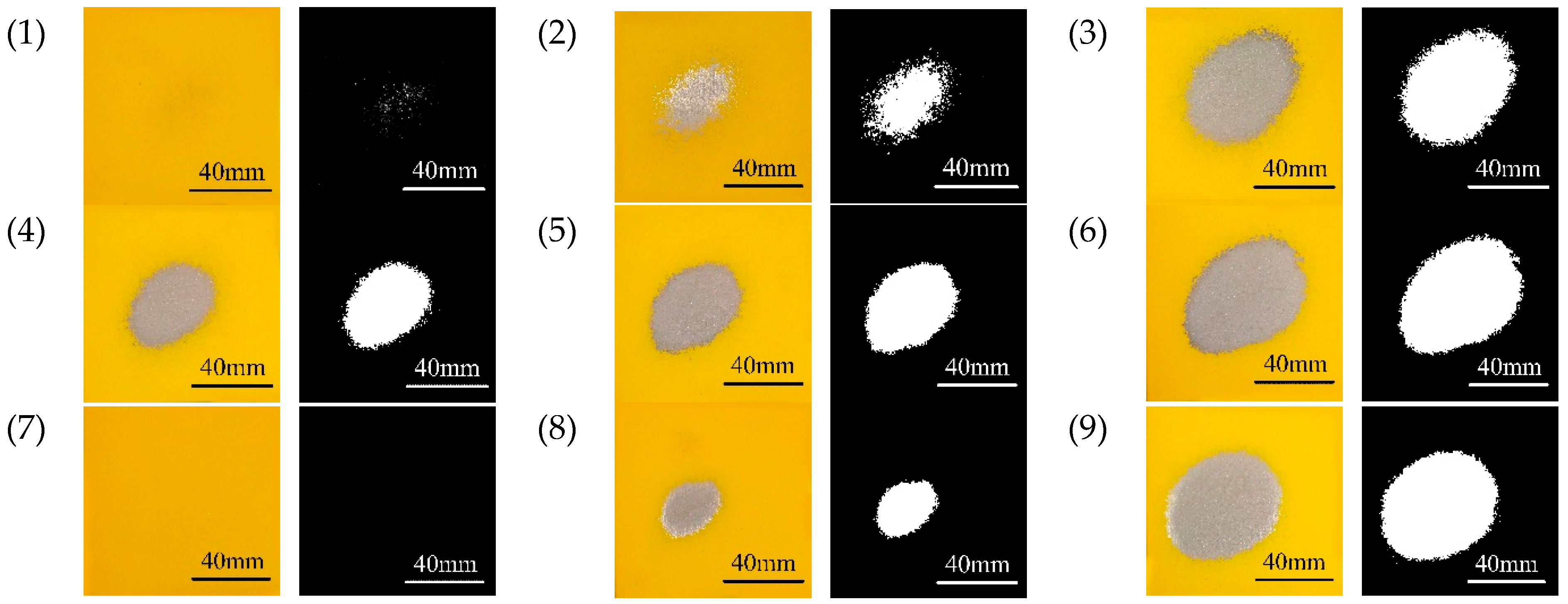 Sustainability 13 02900 g004
