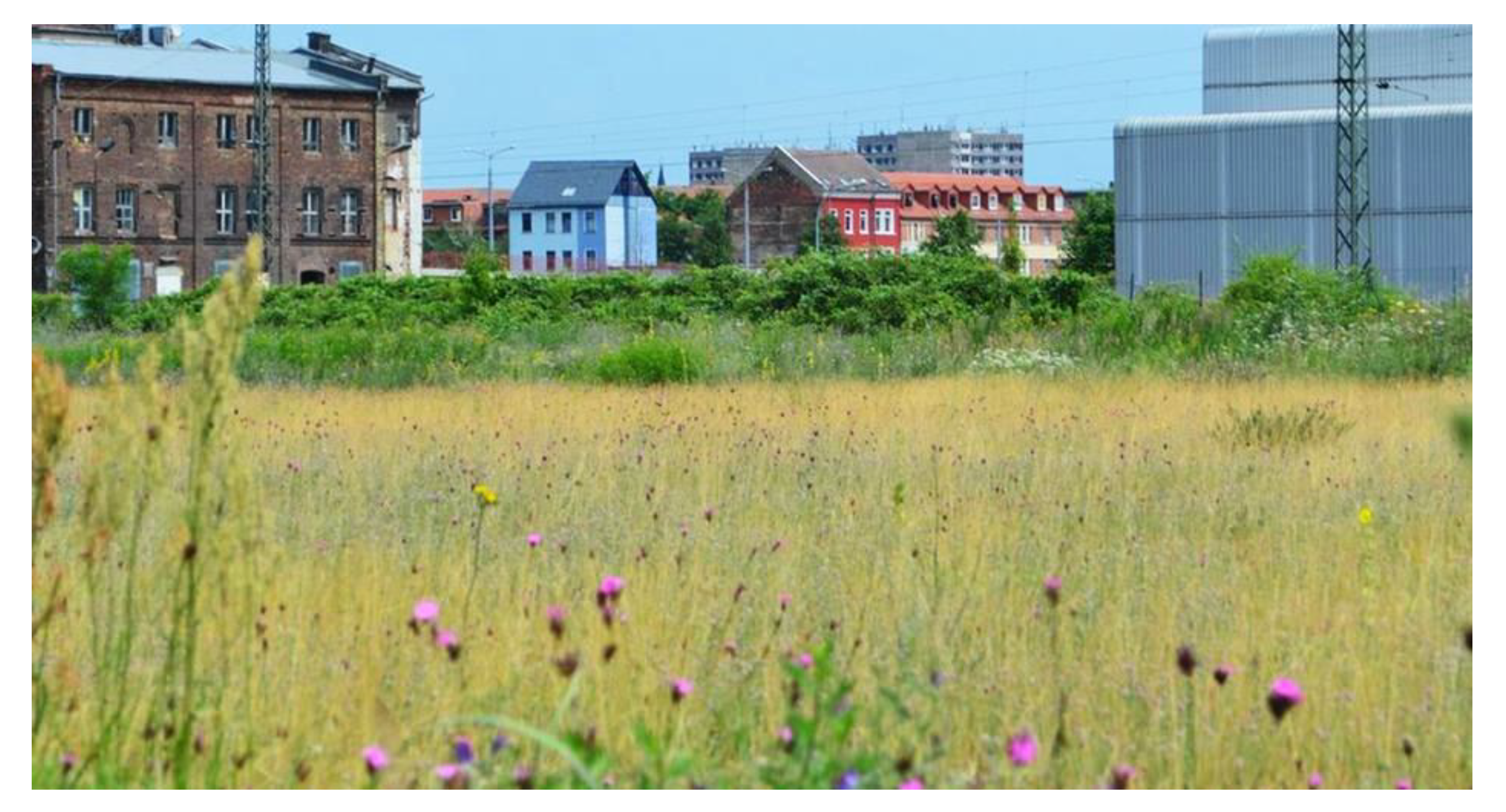 Sustainability 13 02932 g005