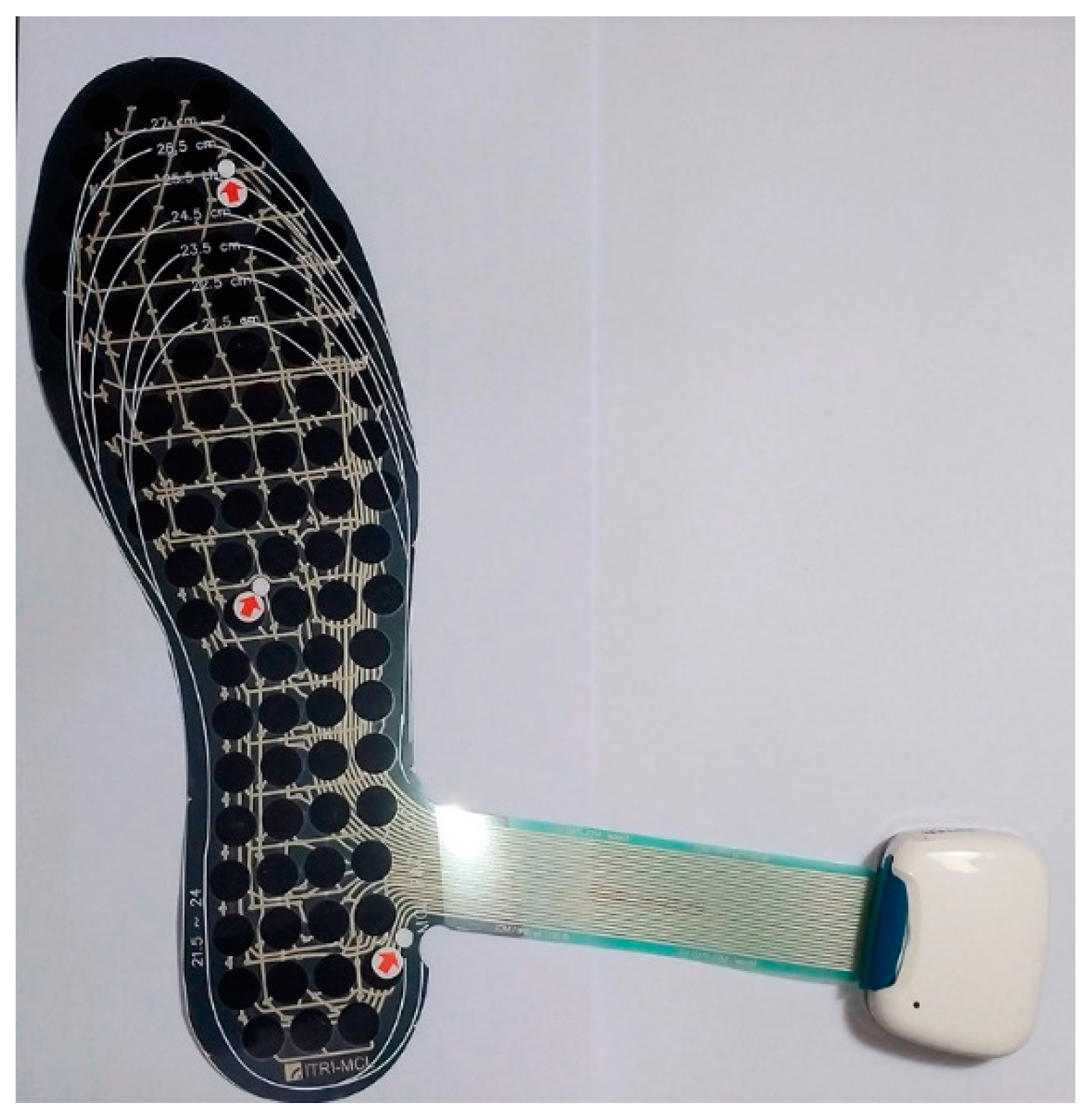 Sustainability 13 02934 g002