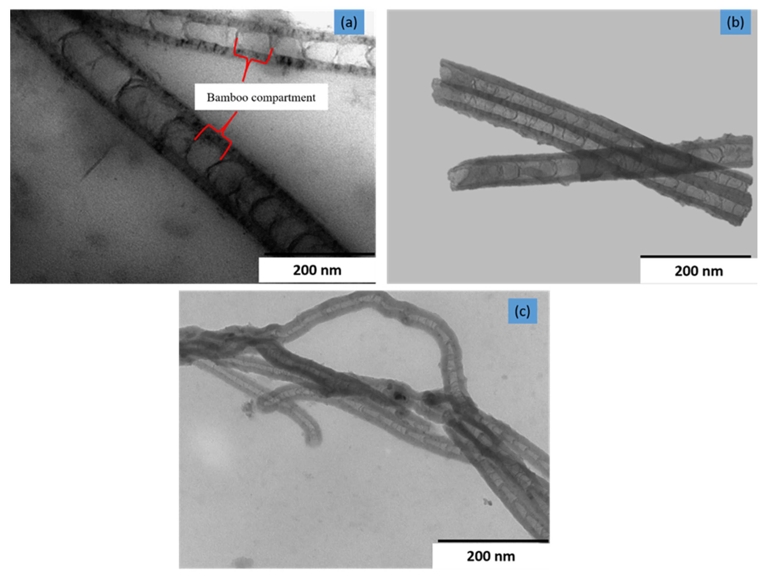 Sustainability 13 02977 g001