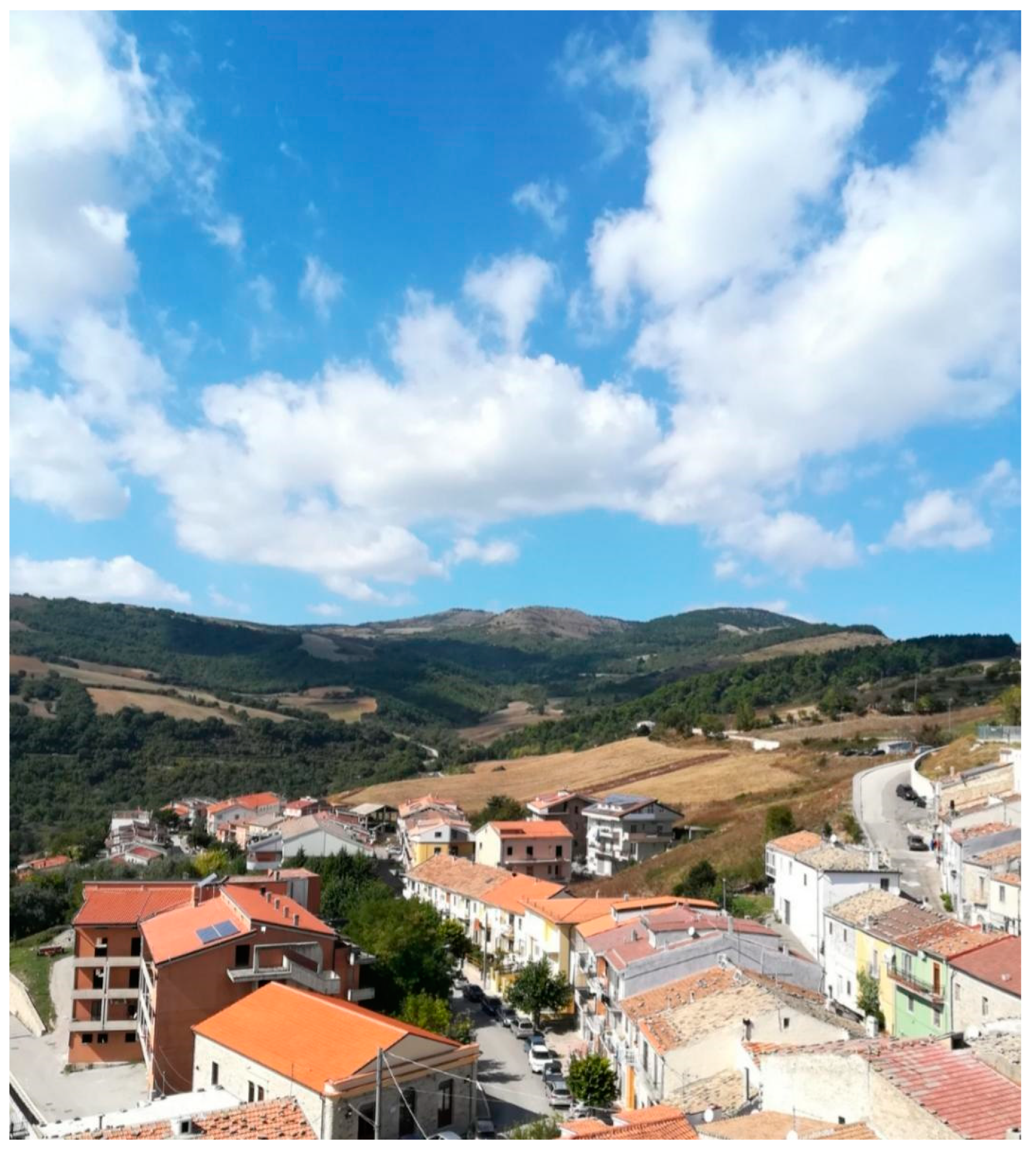 Sustainability 13 03022 g002 Sustainability 13 03022 g002