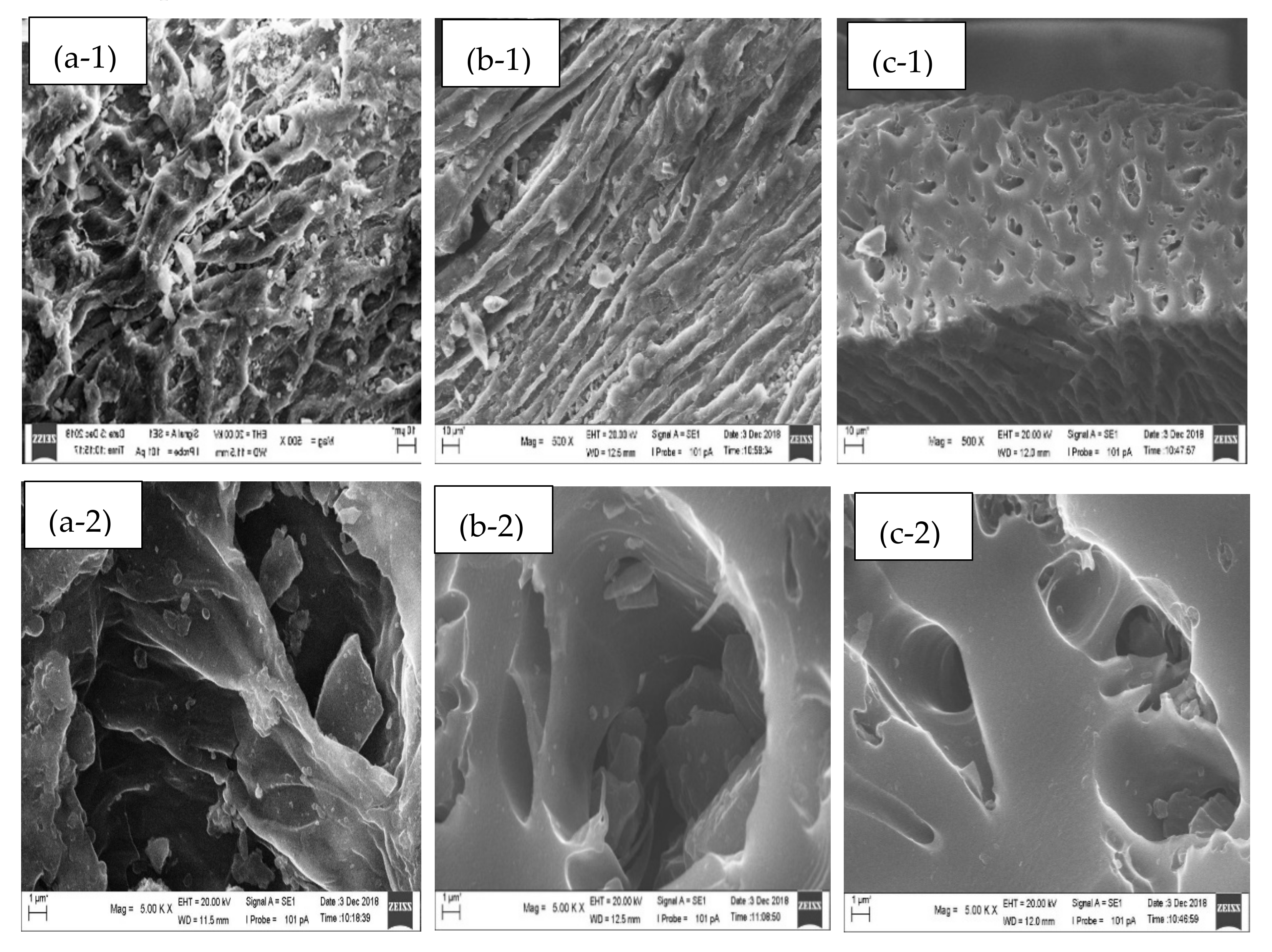 Sustainability Free Full Text Development Of Biosorbent Derived From The Endocarp Waste Of Gayo Coffee For Lead Removal In Liquid Wastewater Effects Of Chemical Activators Html