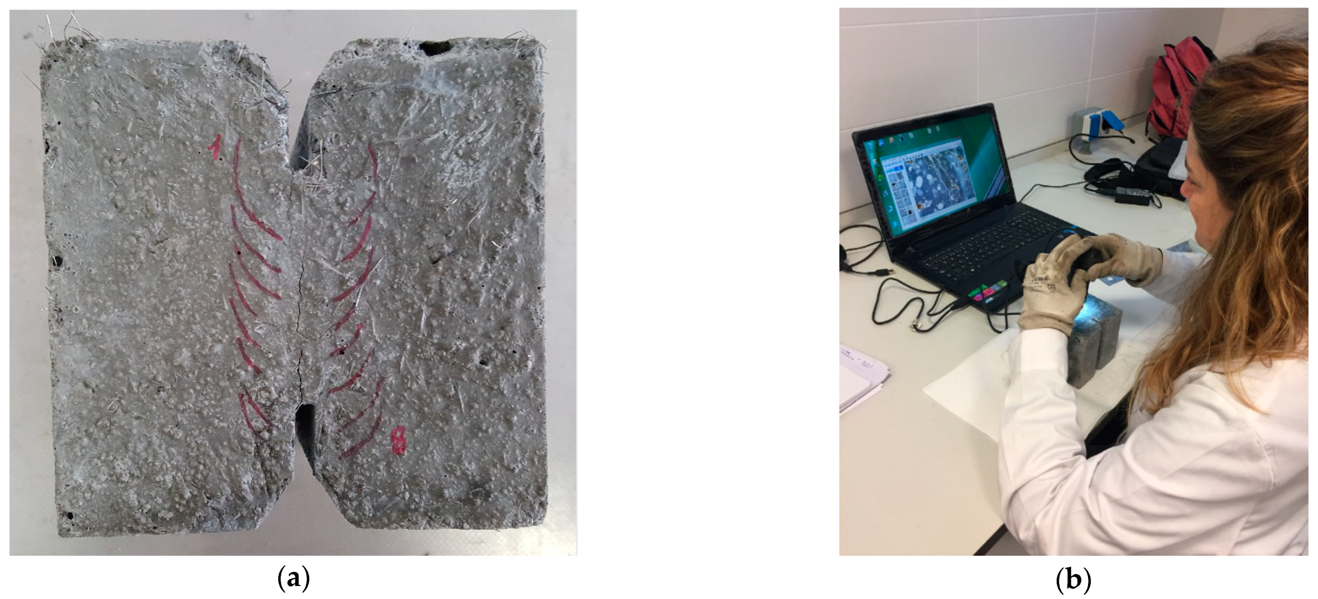 Sustainability 13 03061 g003 Sustainability 13 03061 g003