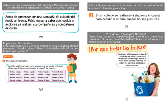sustainable work bolsas